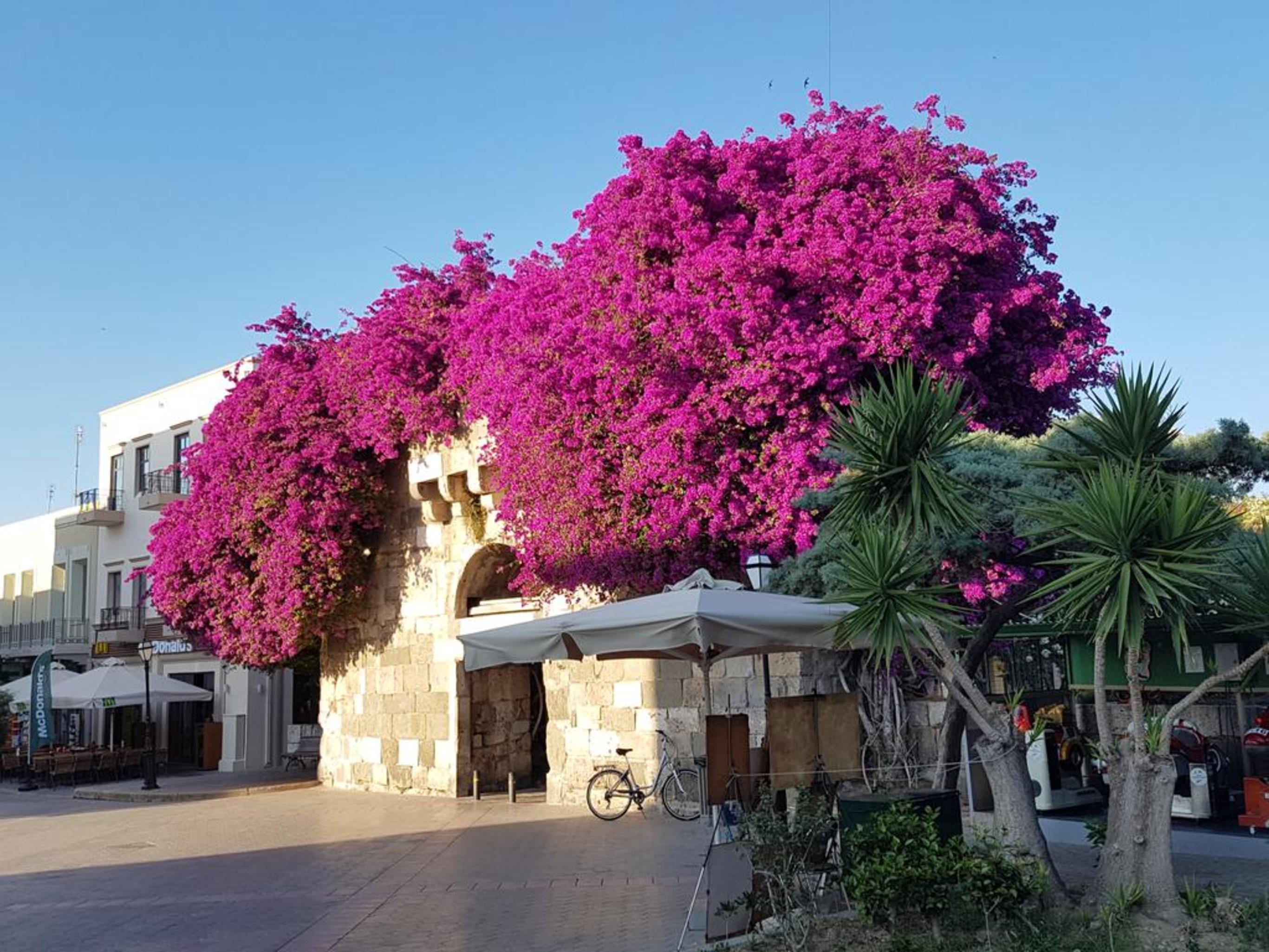 Aqua Blu Boutique & Spa, Adults Only- Small Luxury Of The World Hotel 5*