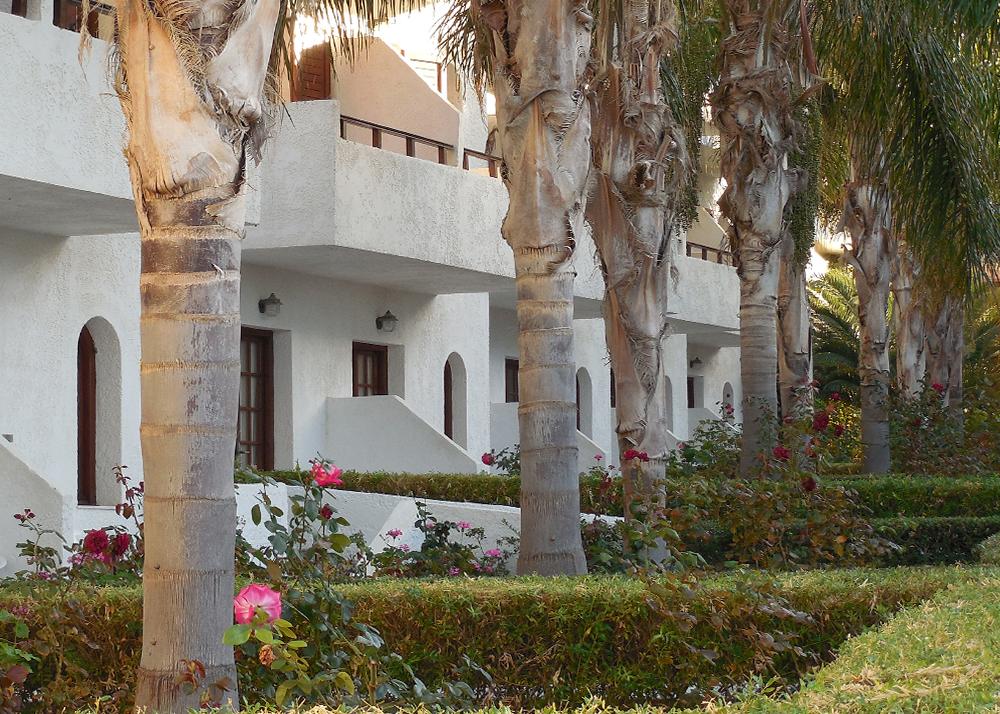Cooee Kyknos Beach Hotel & Bungalows Malia (Crete)