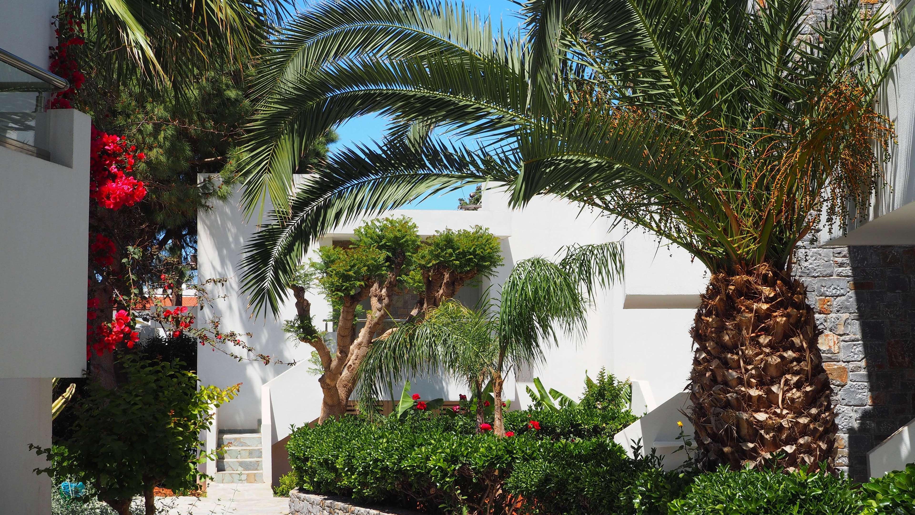 Cooee Kyknos Beach Hotel & Bungalows Hotel