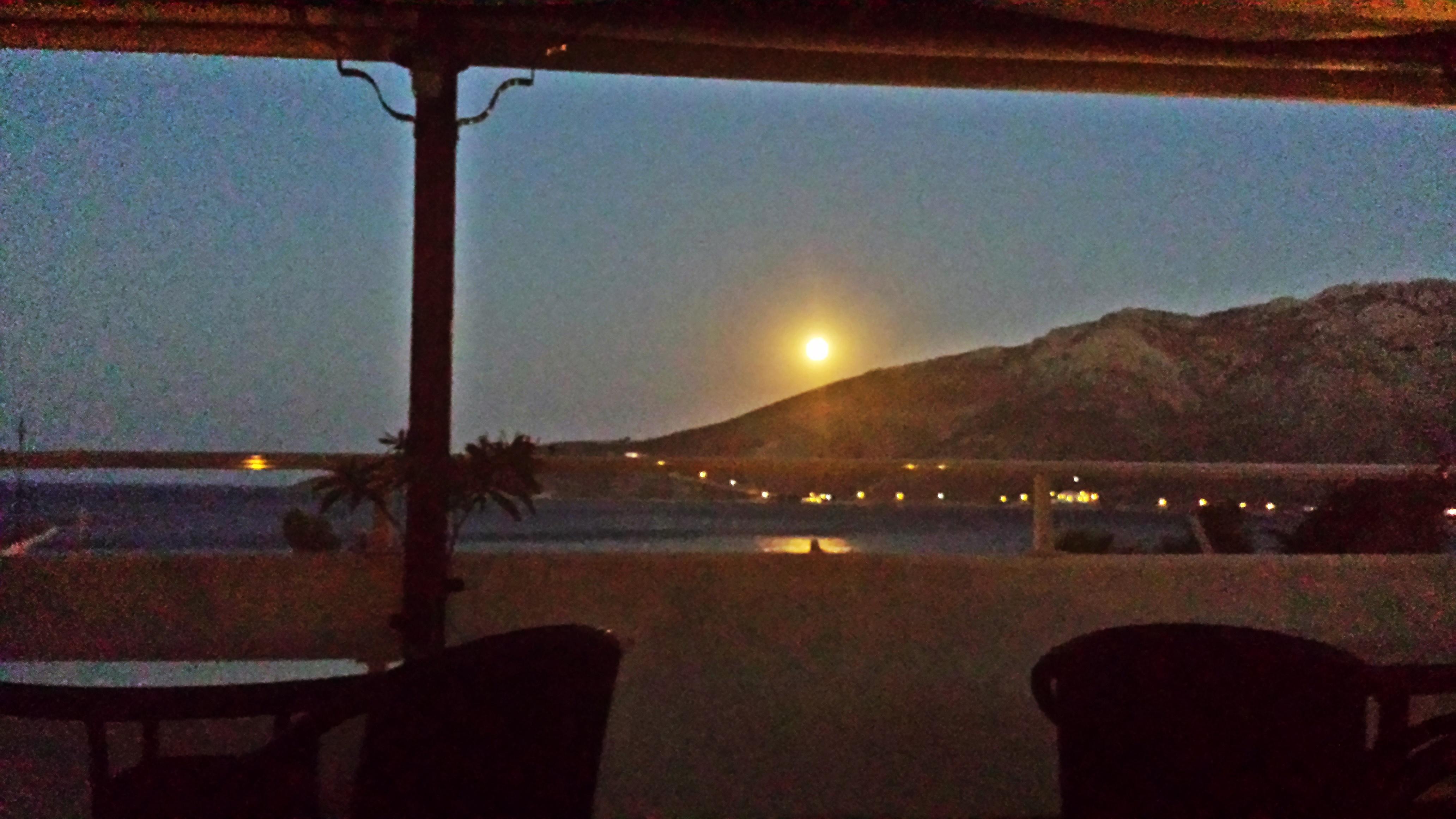 Apollo Apartment Livadia (Tilos)