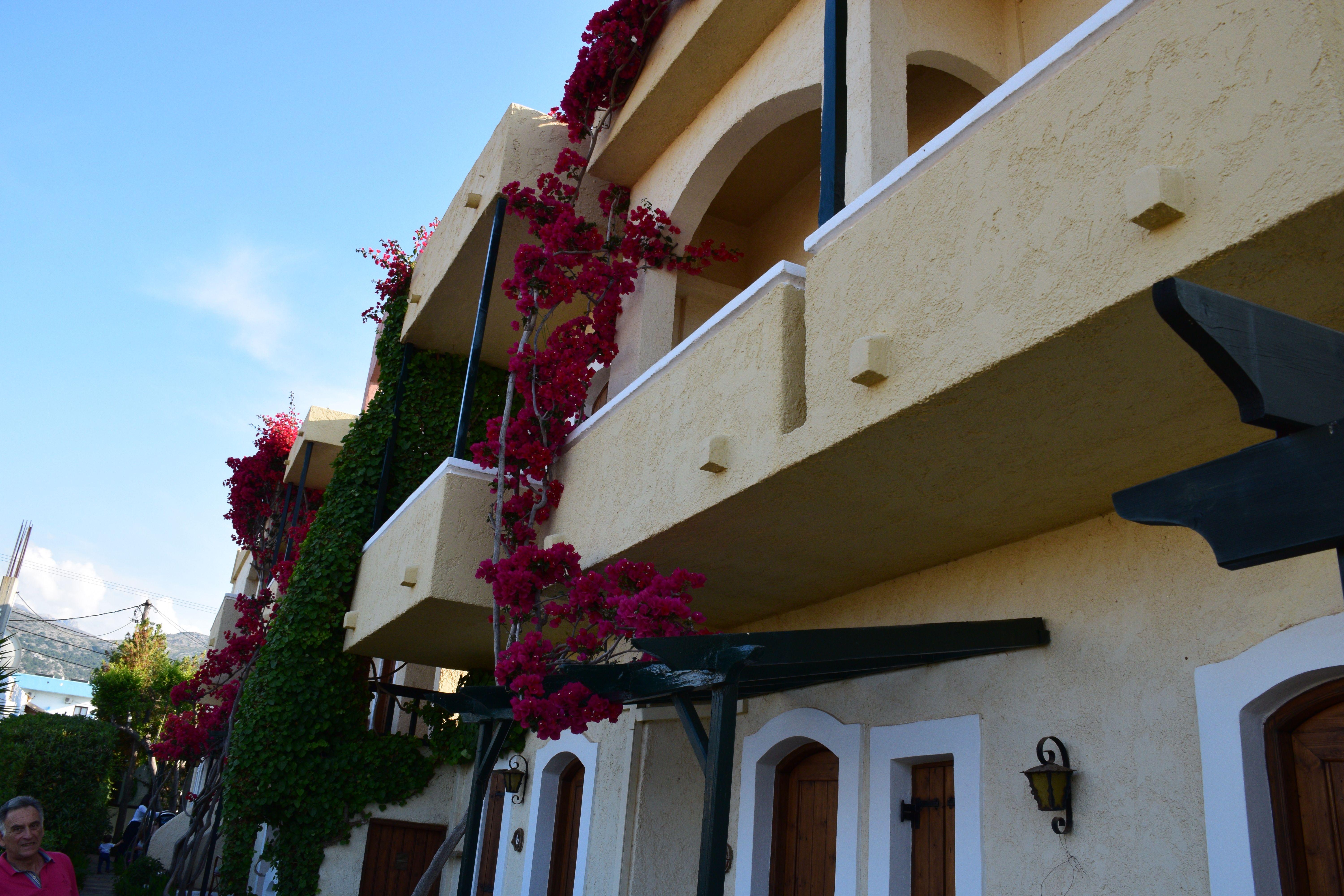 Mila 2* Malia (Crete)