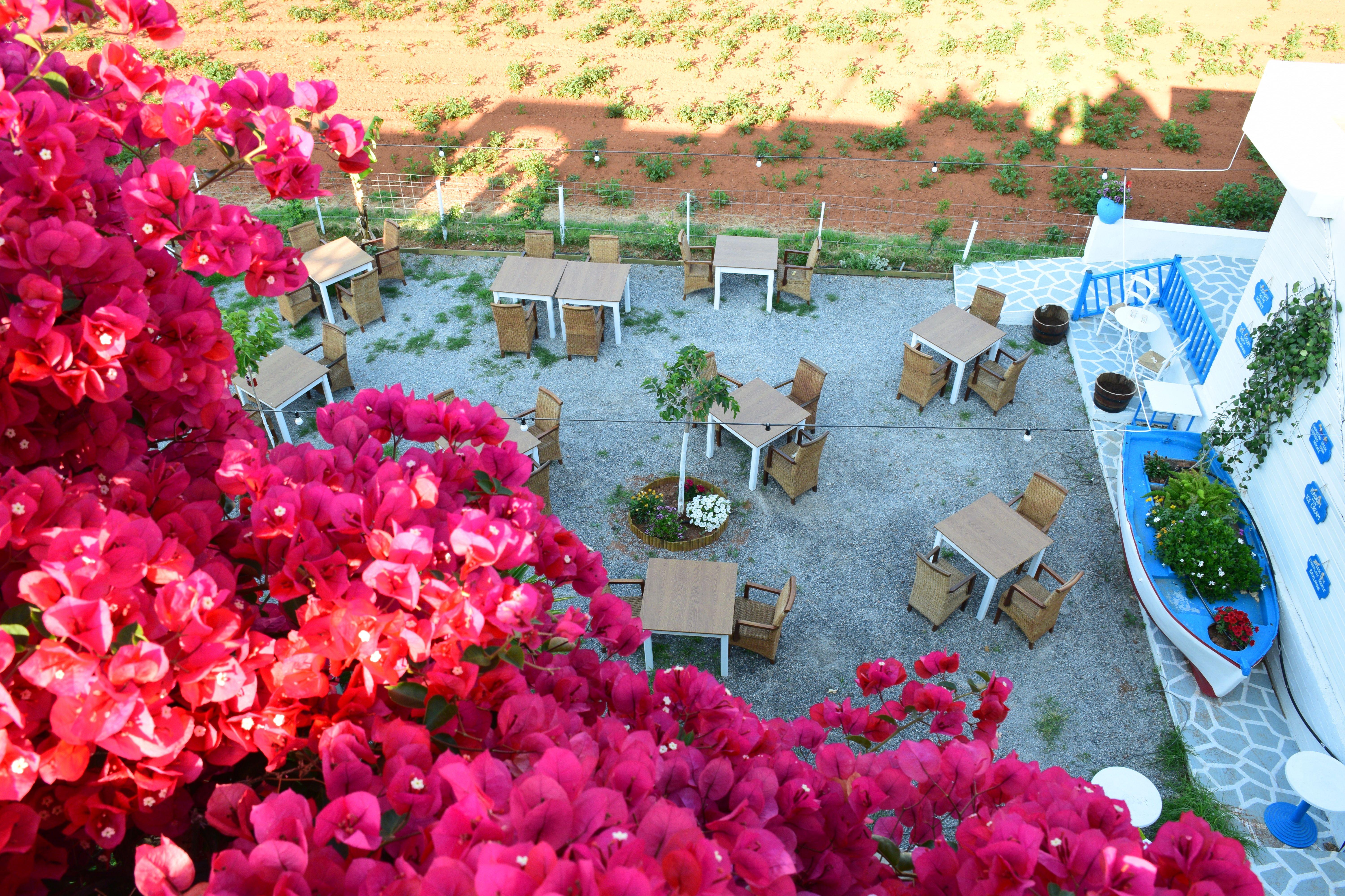 Aparthotel Mila Malia (Crete)