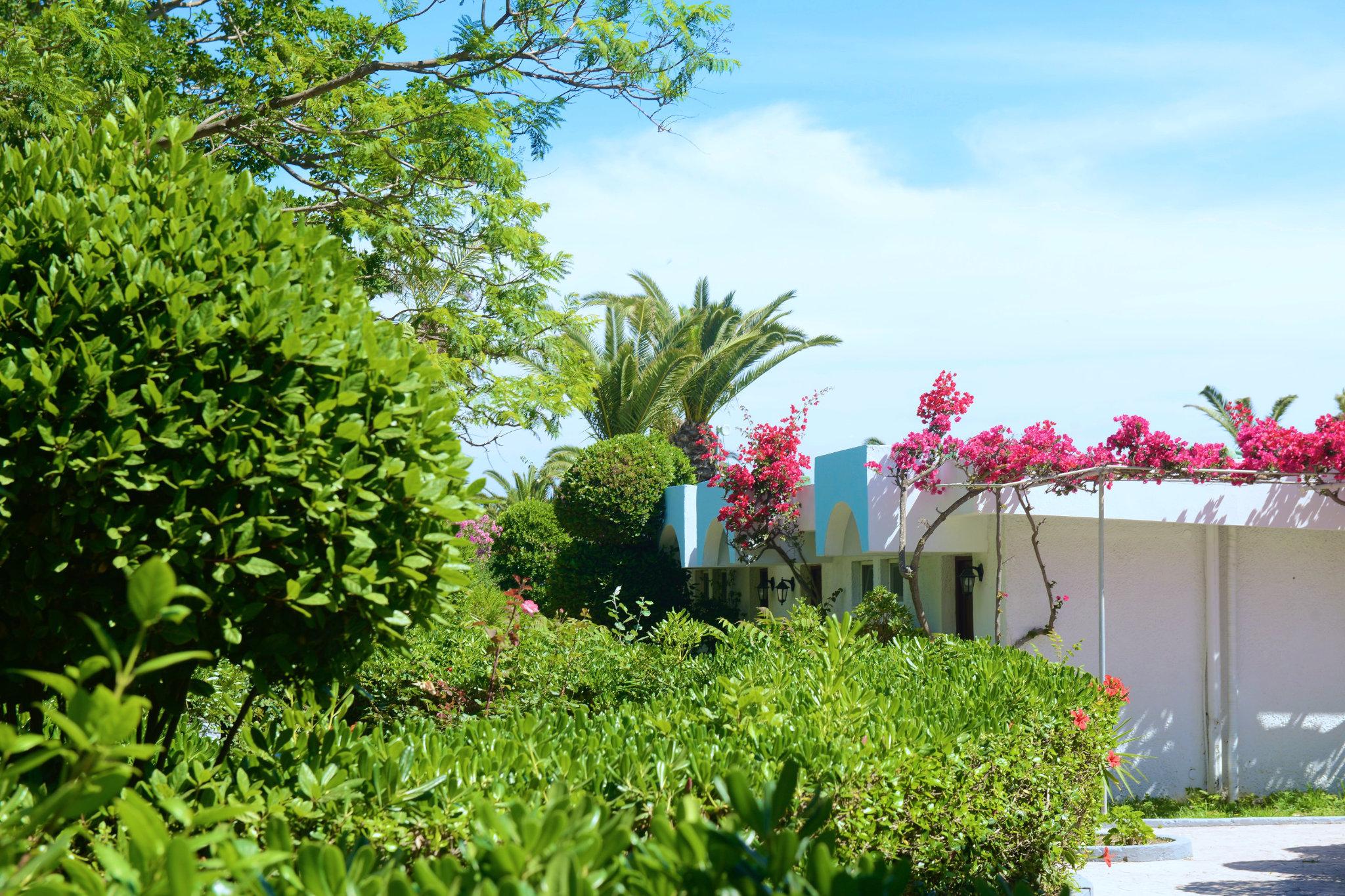 Blue Horizon 4* Ialysos (Rhodes)