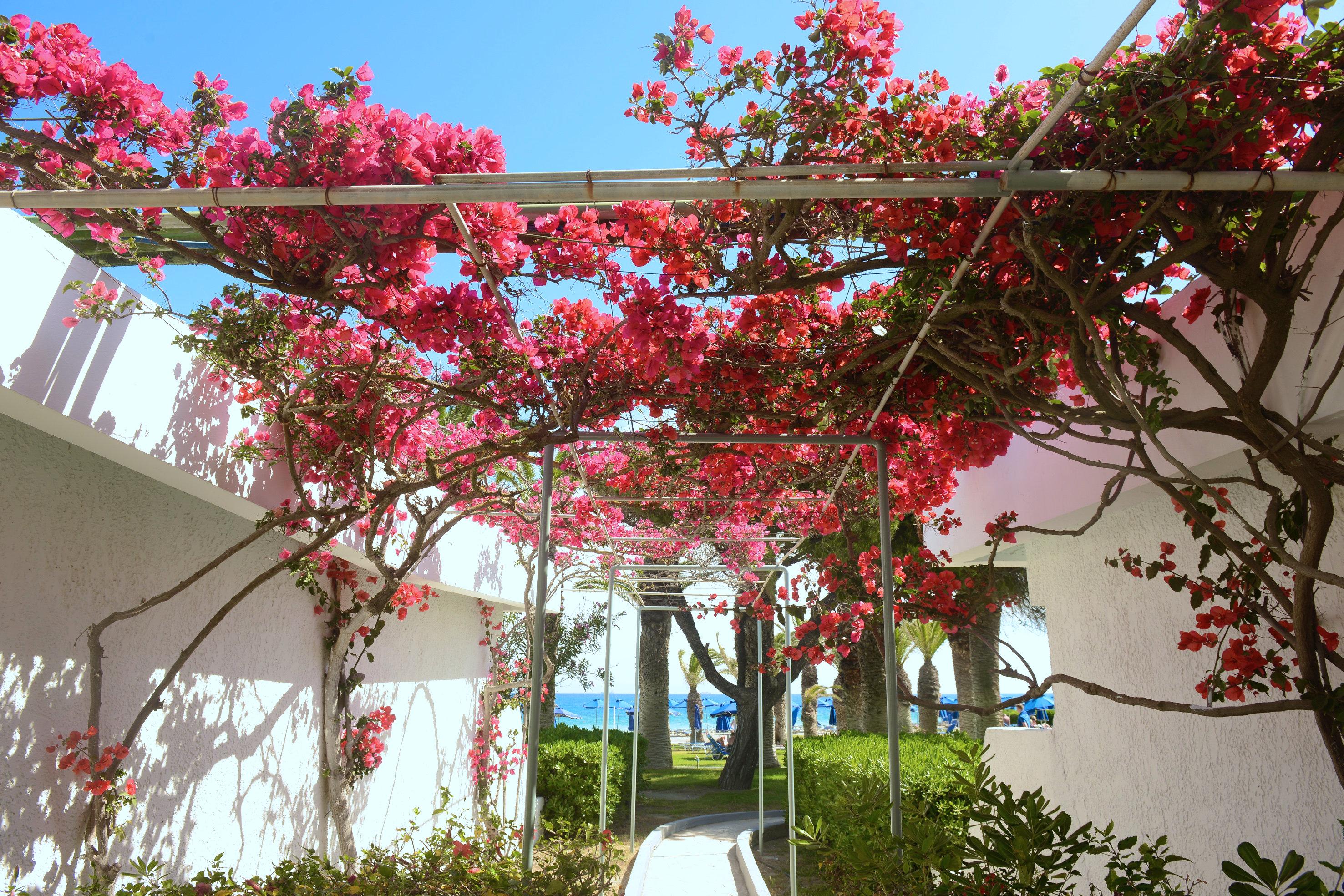 Blue Horizon Resort 4*