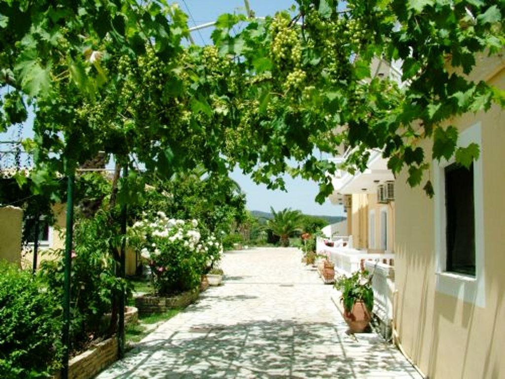 The Blue Sea 3*
