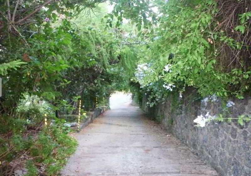 Apartment Anna Castello Dassia (Corfu)