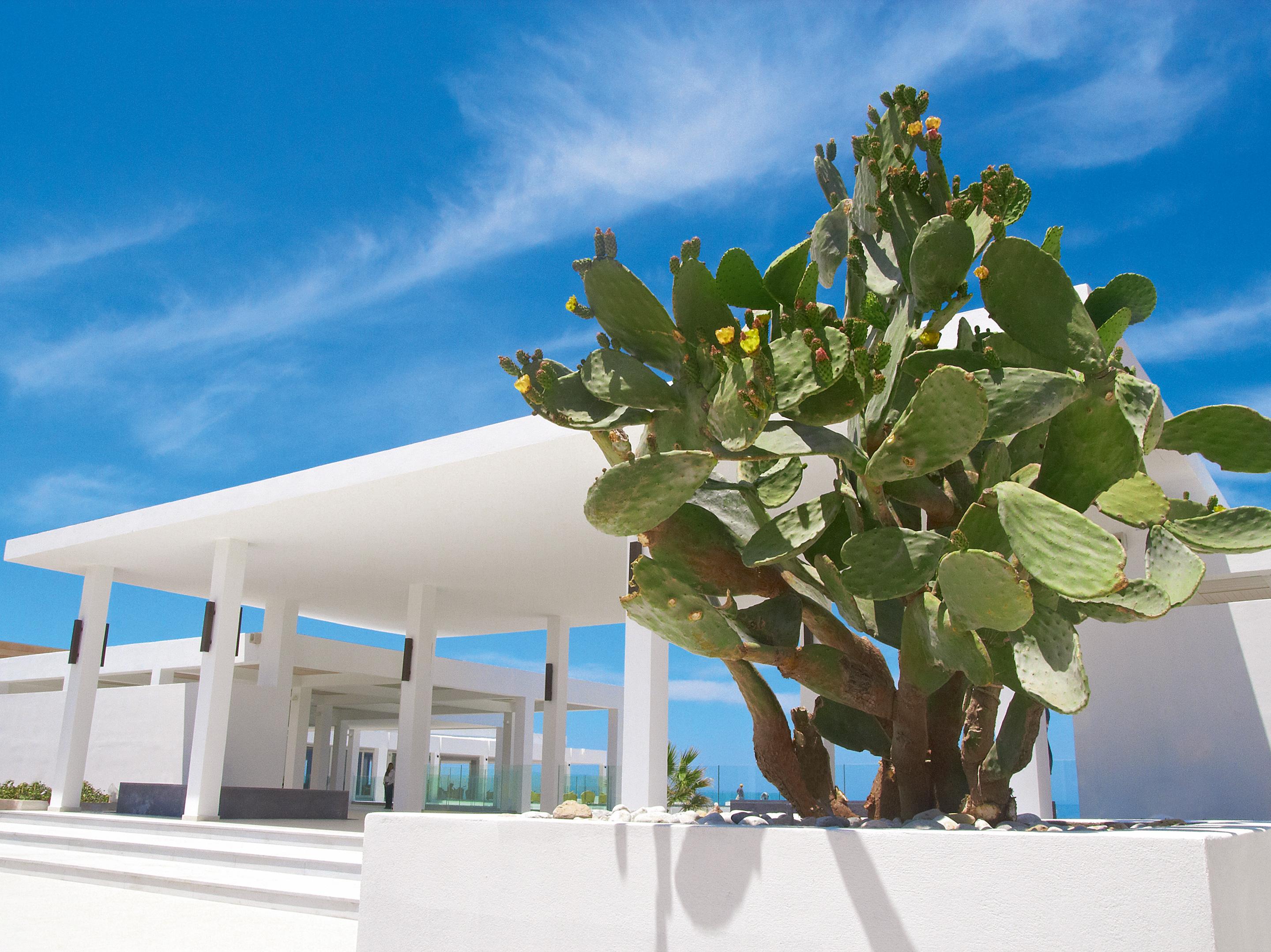 Grecotel Luxme White Resort 5*