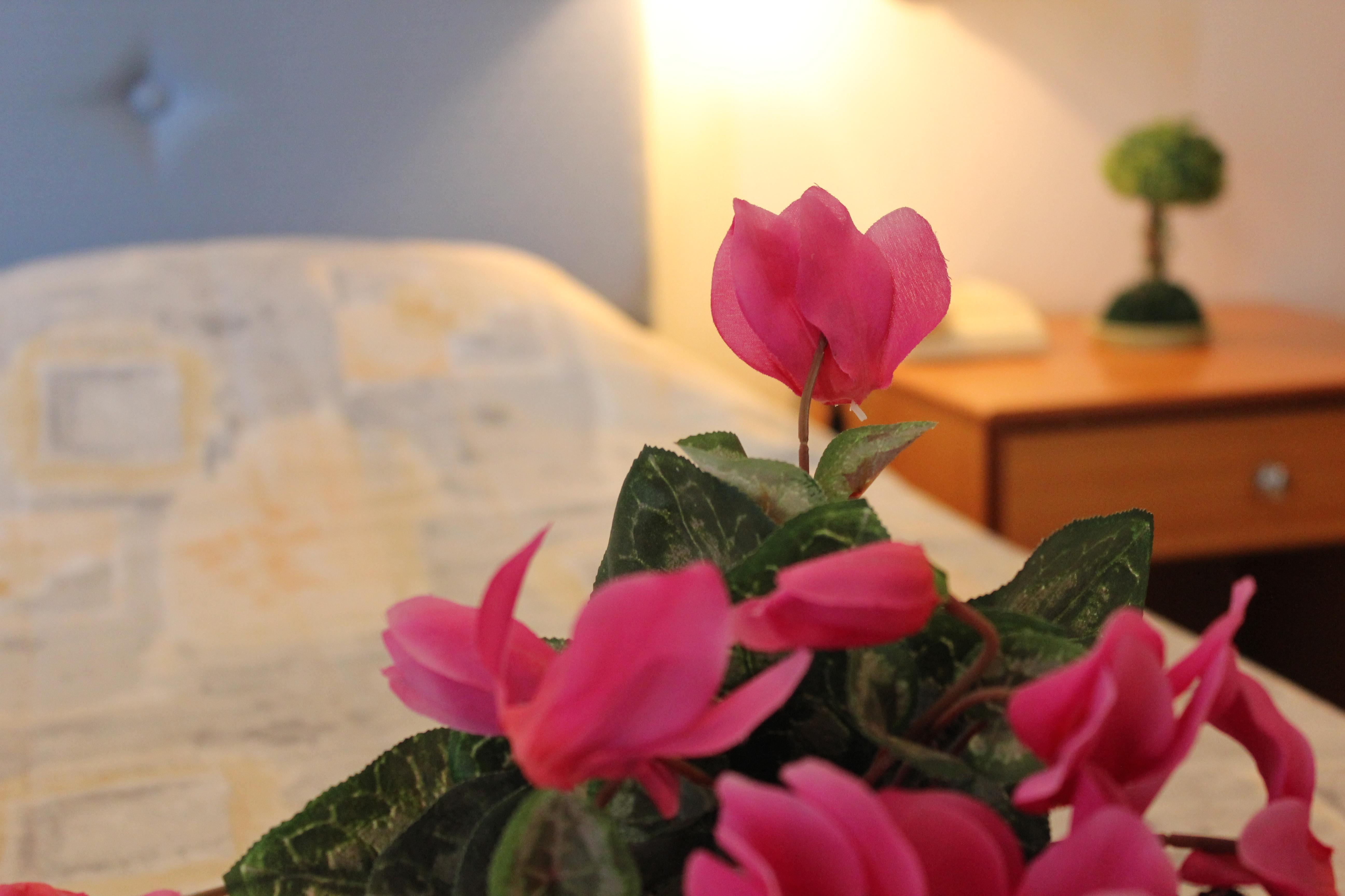 Hotel Filmar Hotel, Ixia, Rhodes