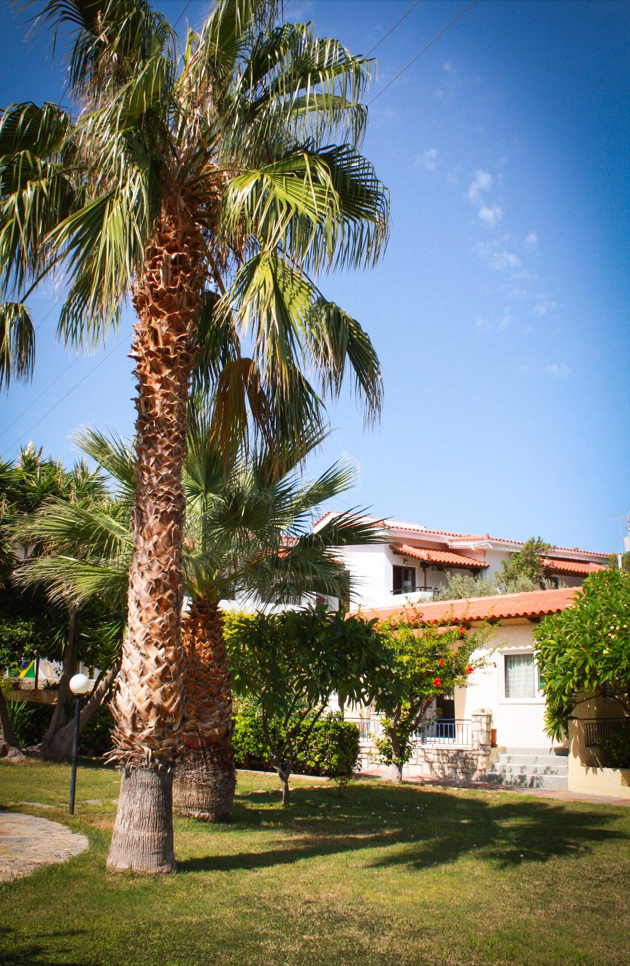 Vicky * Hersonissos (Crete)