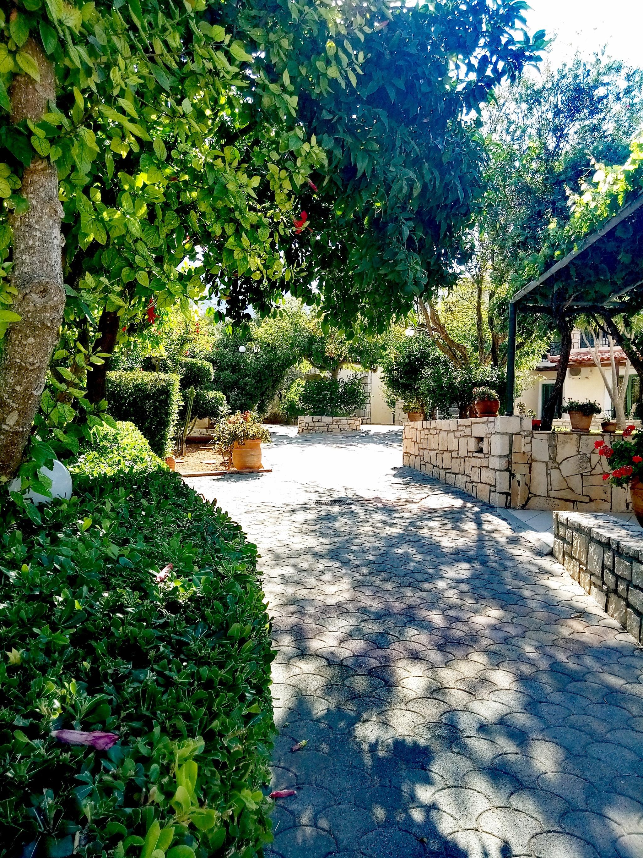 Apartment Vicky Hersonissos (Crete)