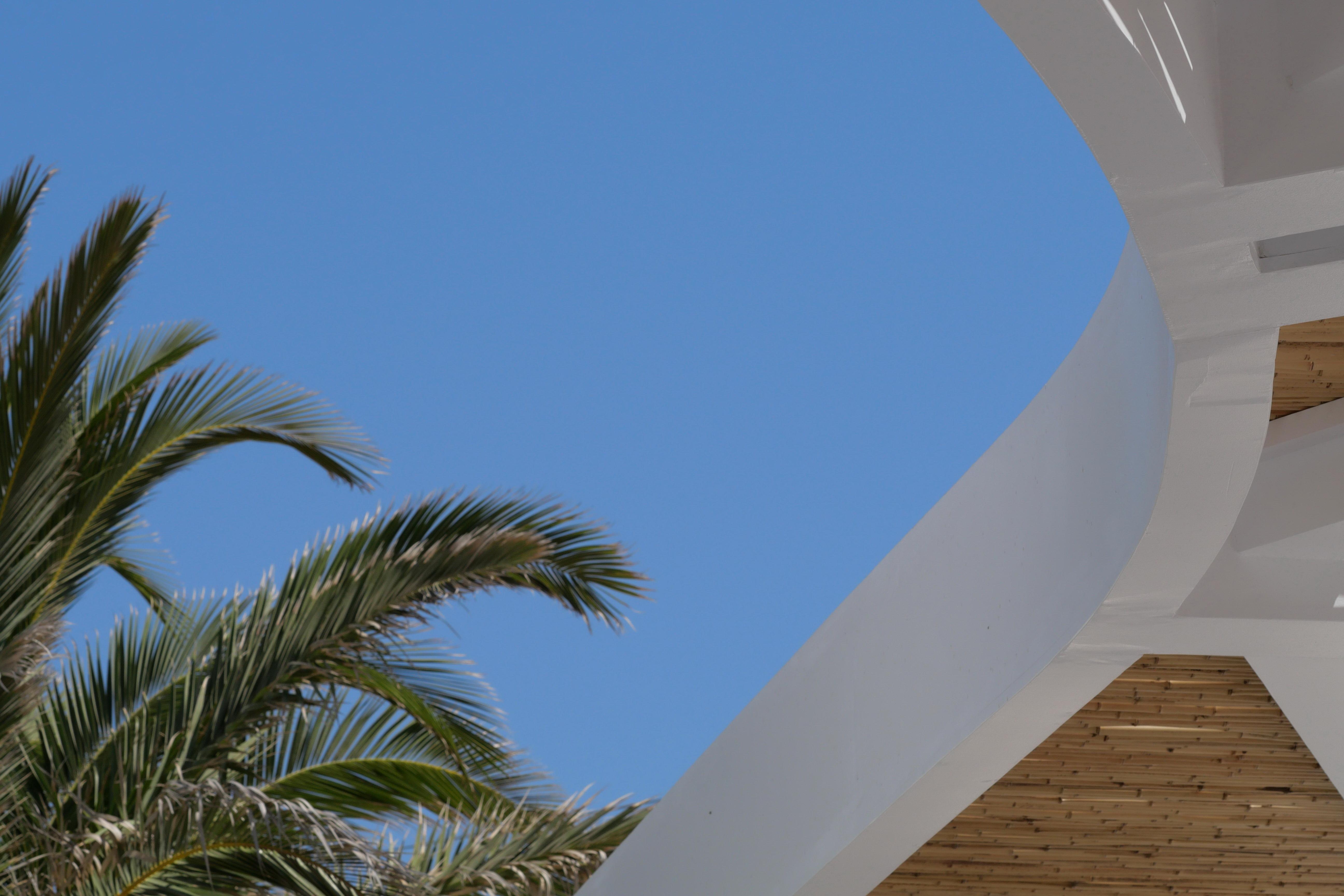 Andronikos (adults Only) 4*