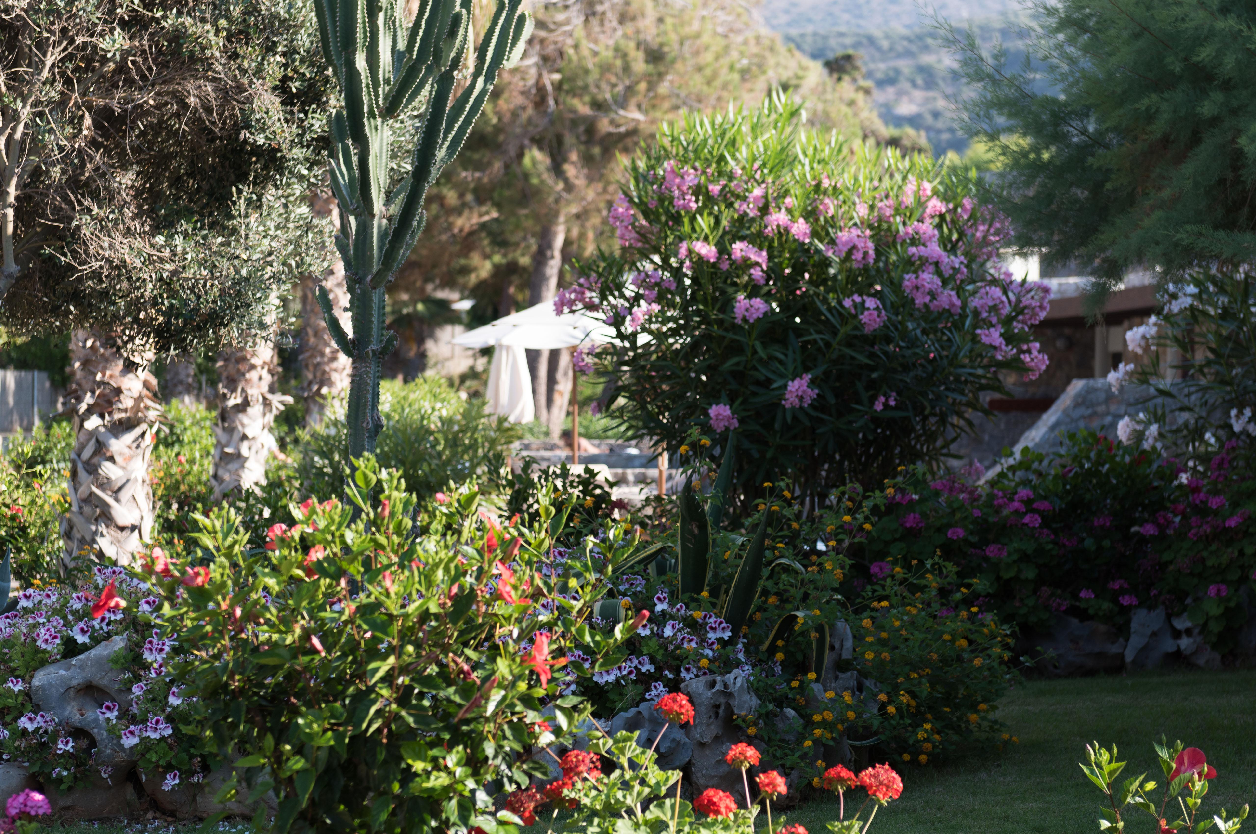 Ikaros Beach, Luxury & - Adults Only Hotel