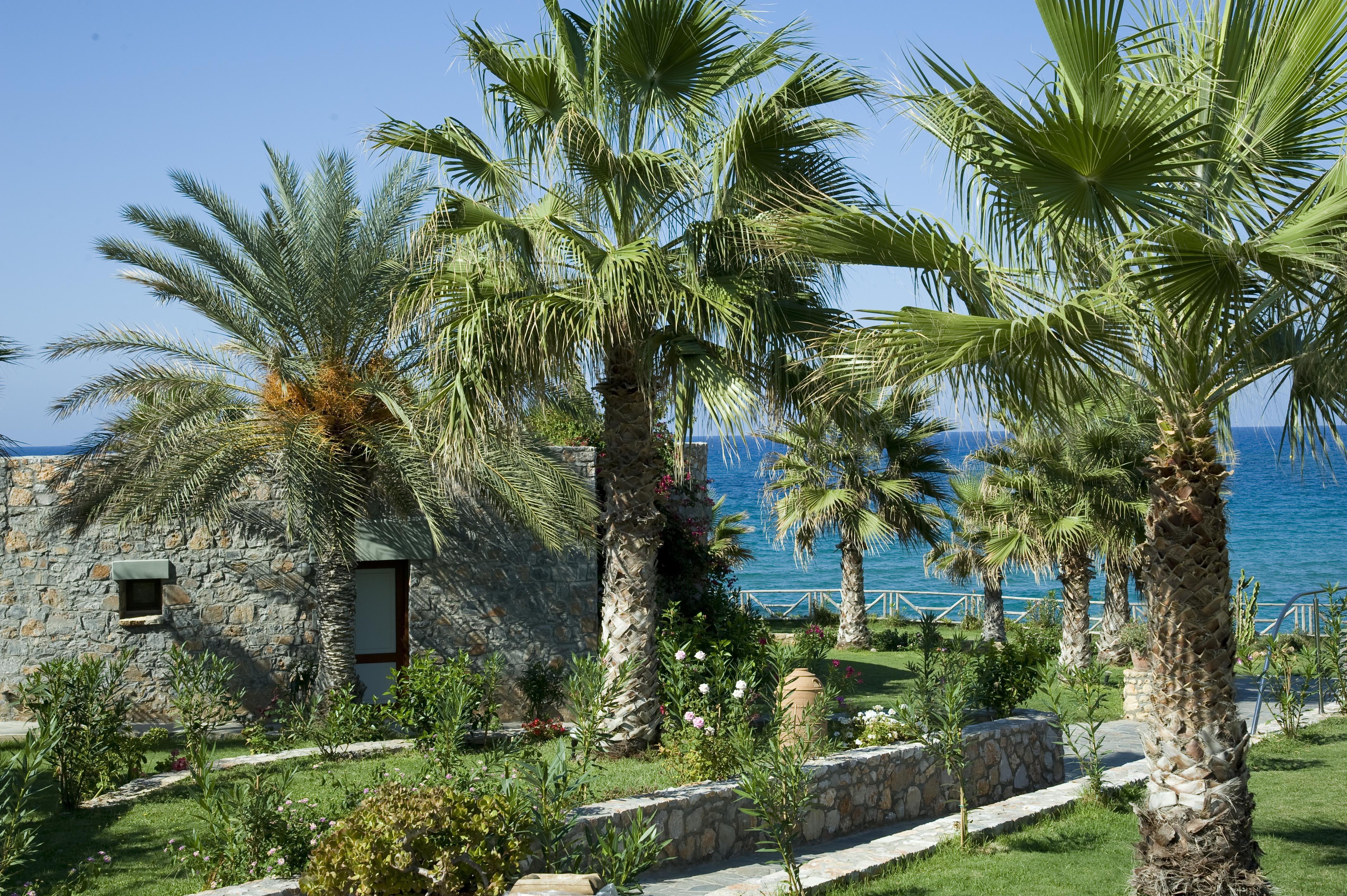 Hotel Ikaros Beach, Luxury & - Adults Only