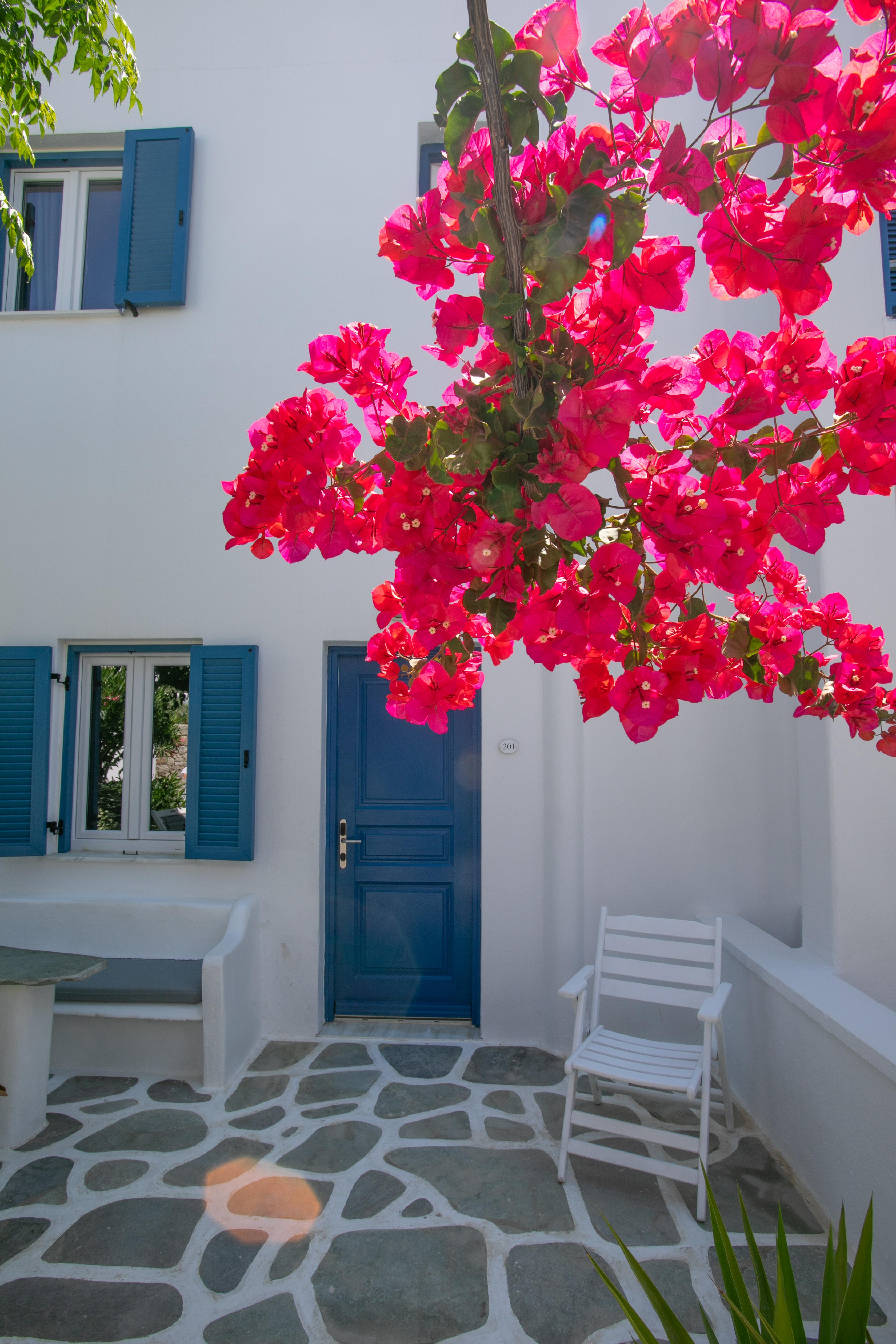Acrogiali Beachfront Mykonos Hotel 4*