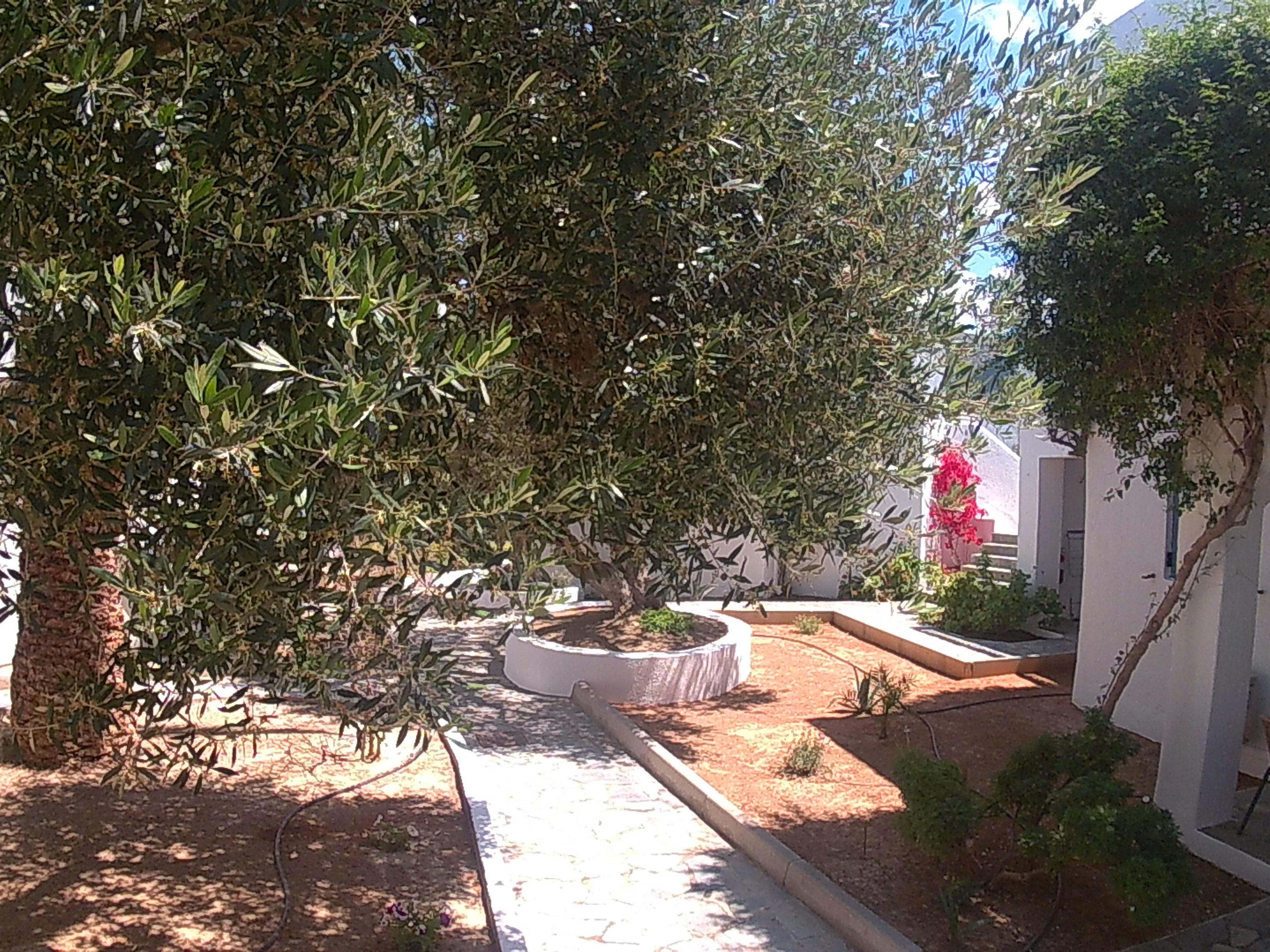 Palatia Village 4* Hersonissos (Crete)