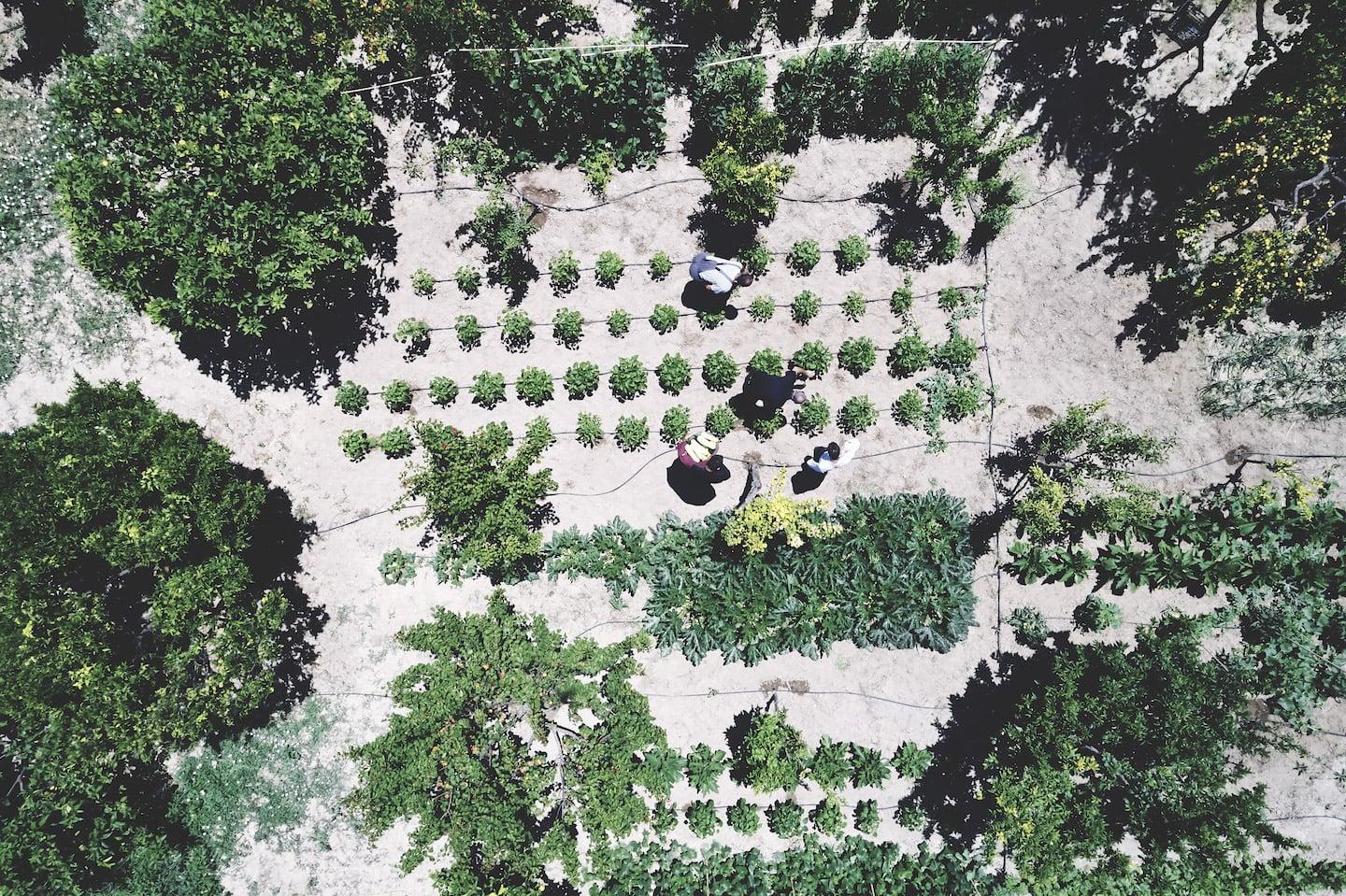 Hotel Yria Island Boutique &