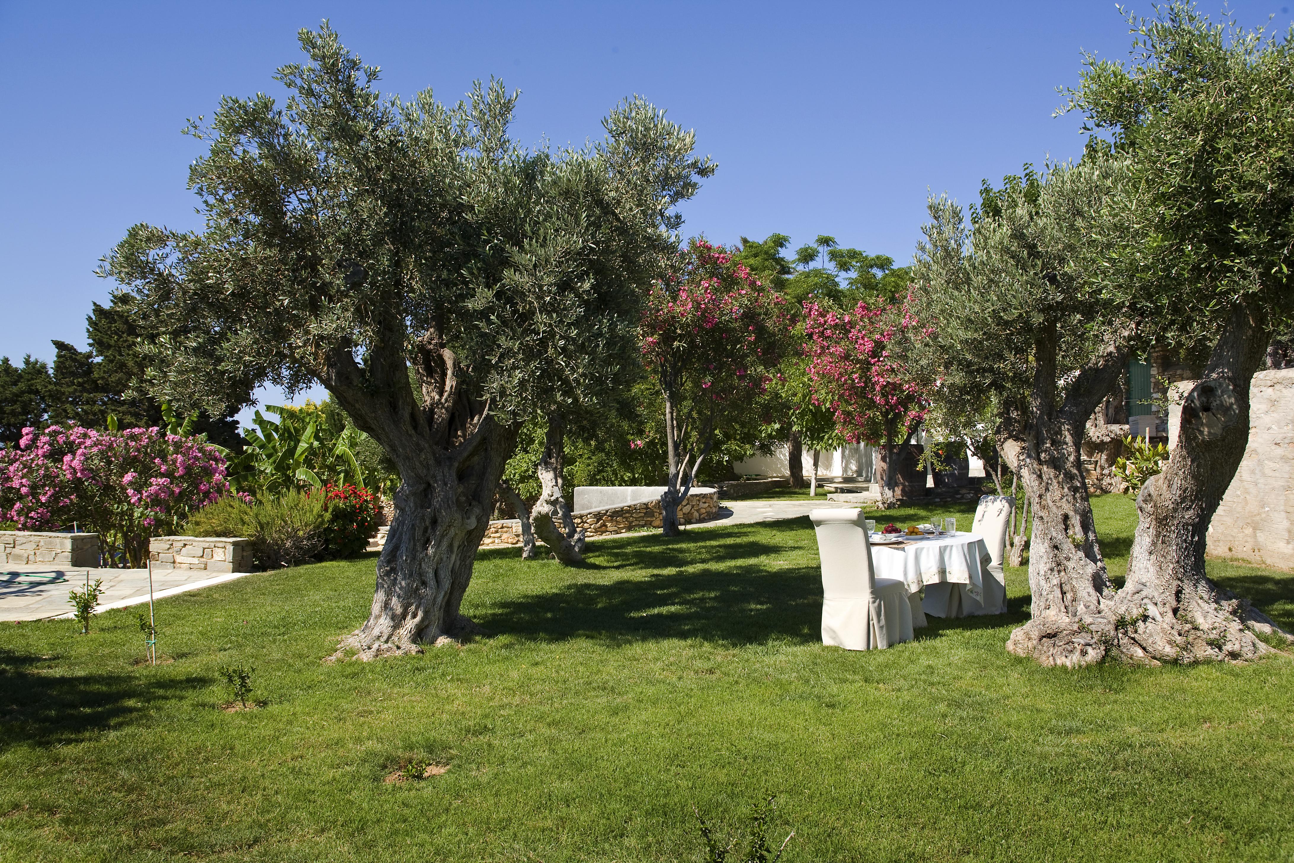 Yria Island Boutique & 5* Parasporos