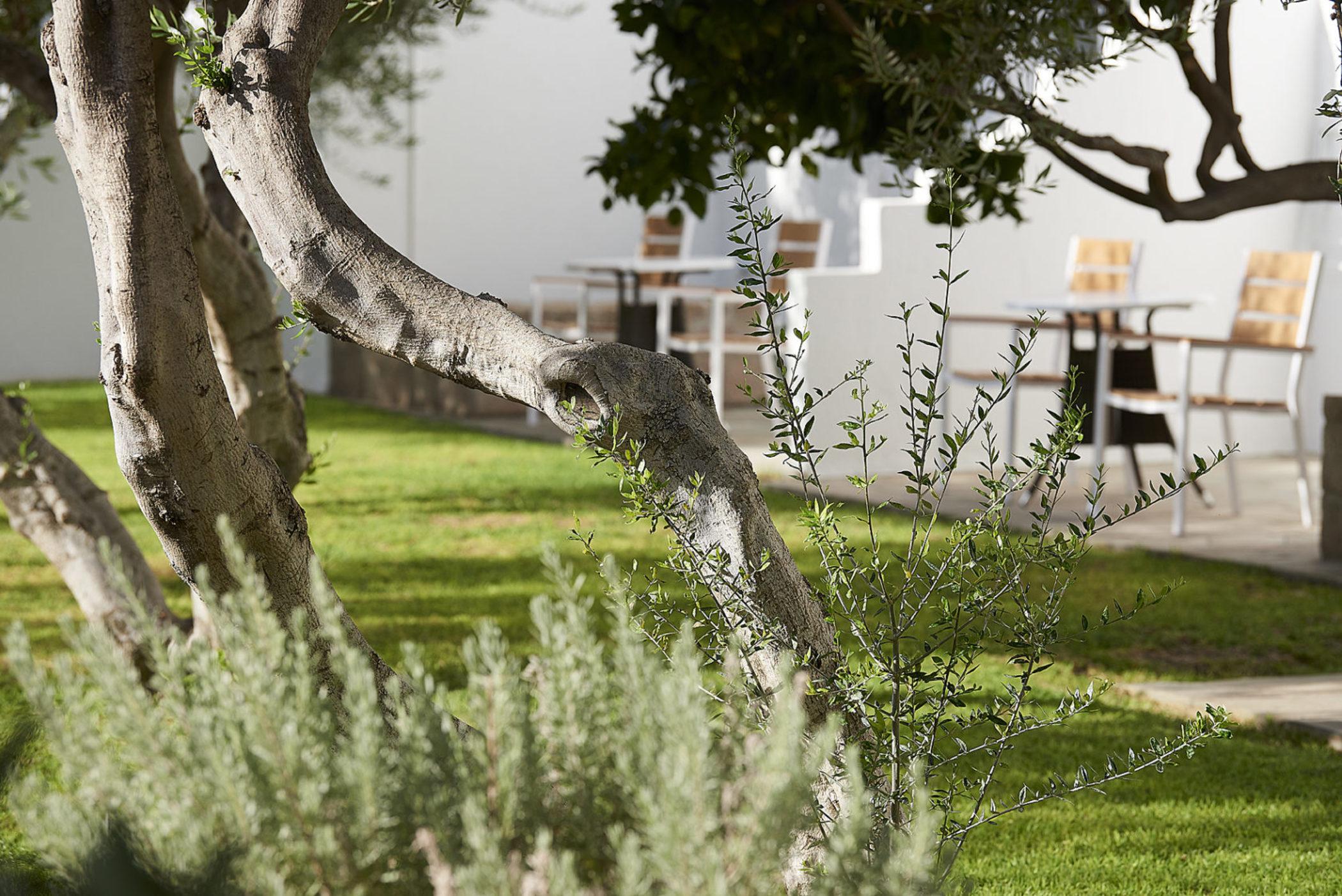 Hotel Santa Maria Village & Adamantas (Milos)