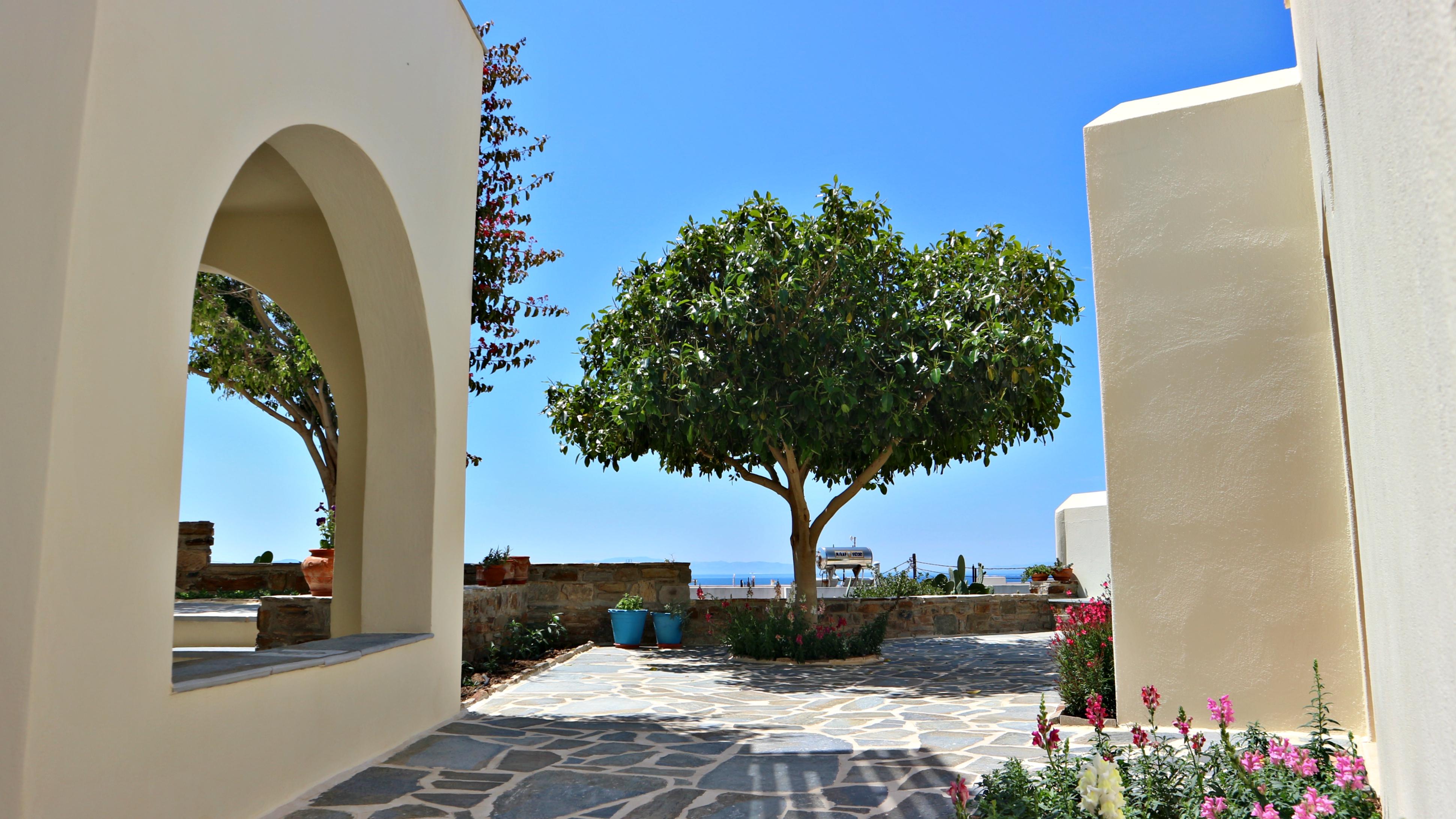 Proteas & Hotel Agios Prokopios (Naxos)