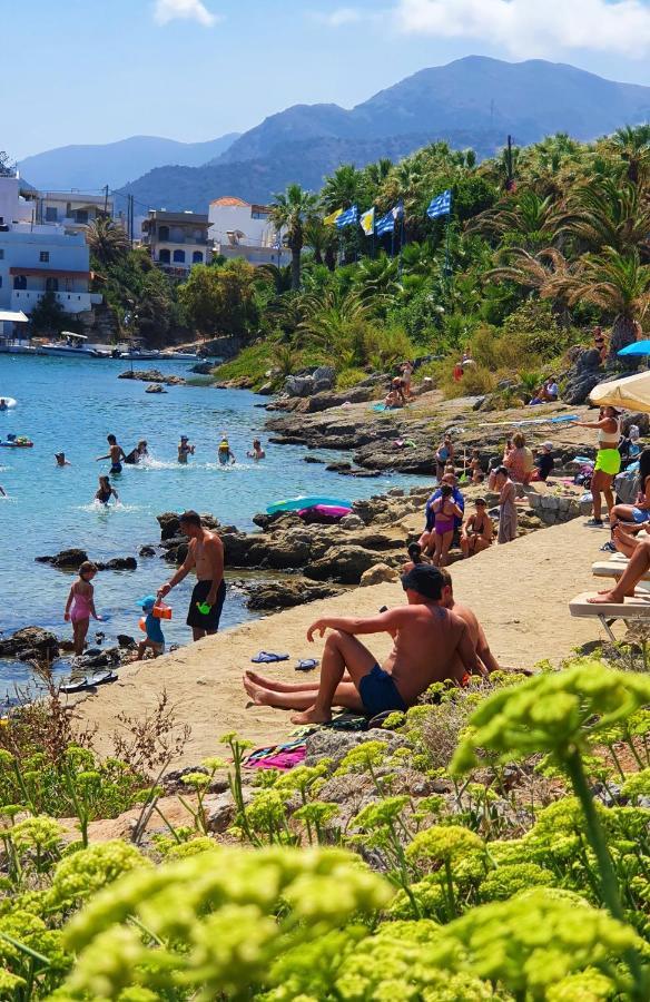 Vasia Resort & Spa 5* Sissi (Crete)