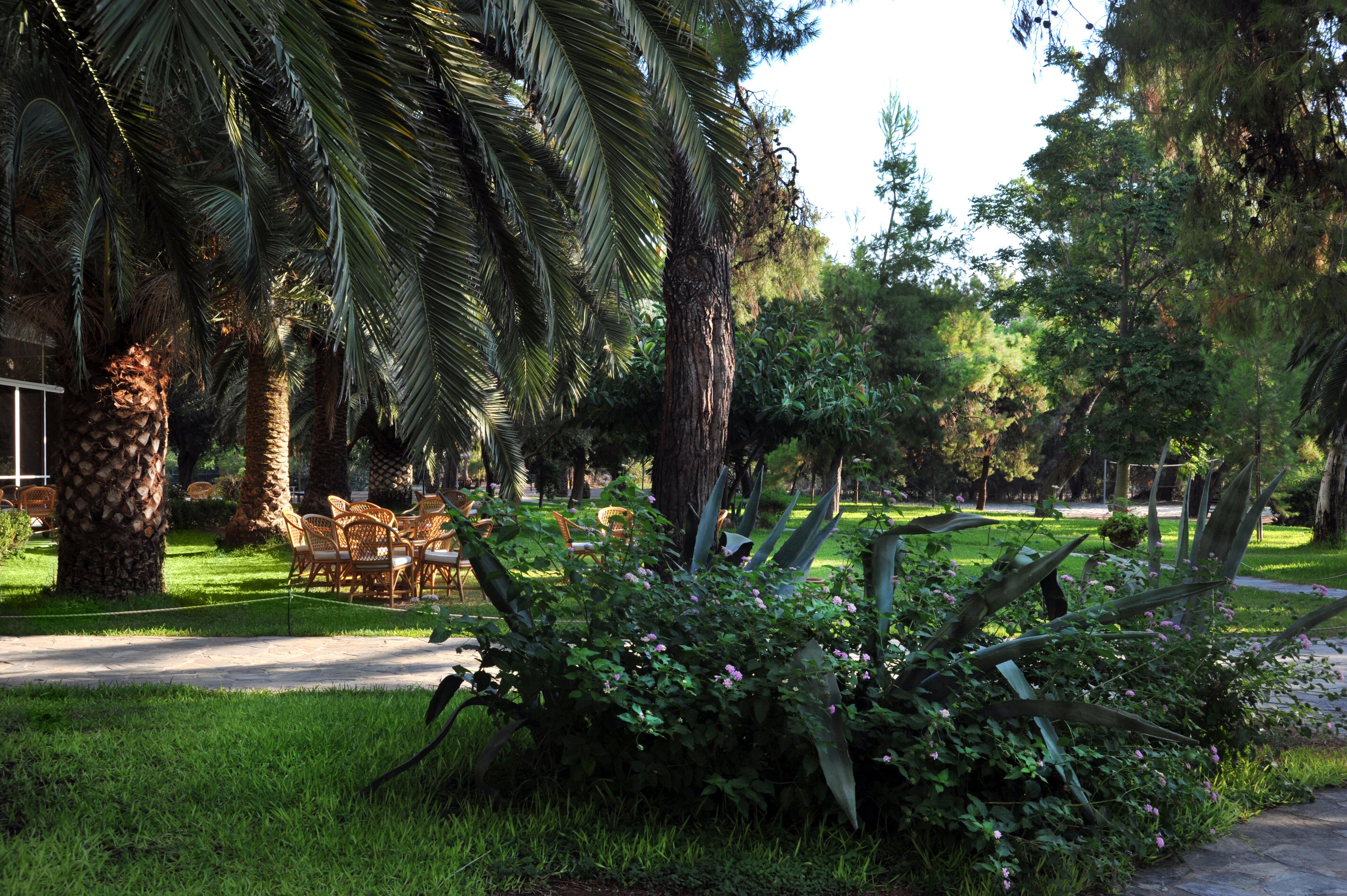 King Saron Hotel Isthmia