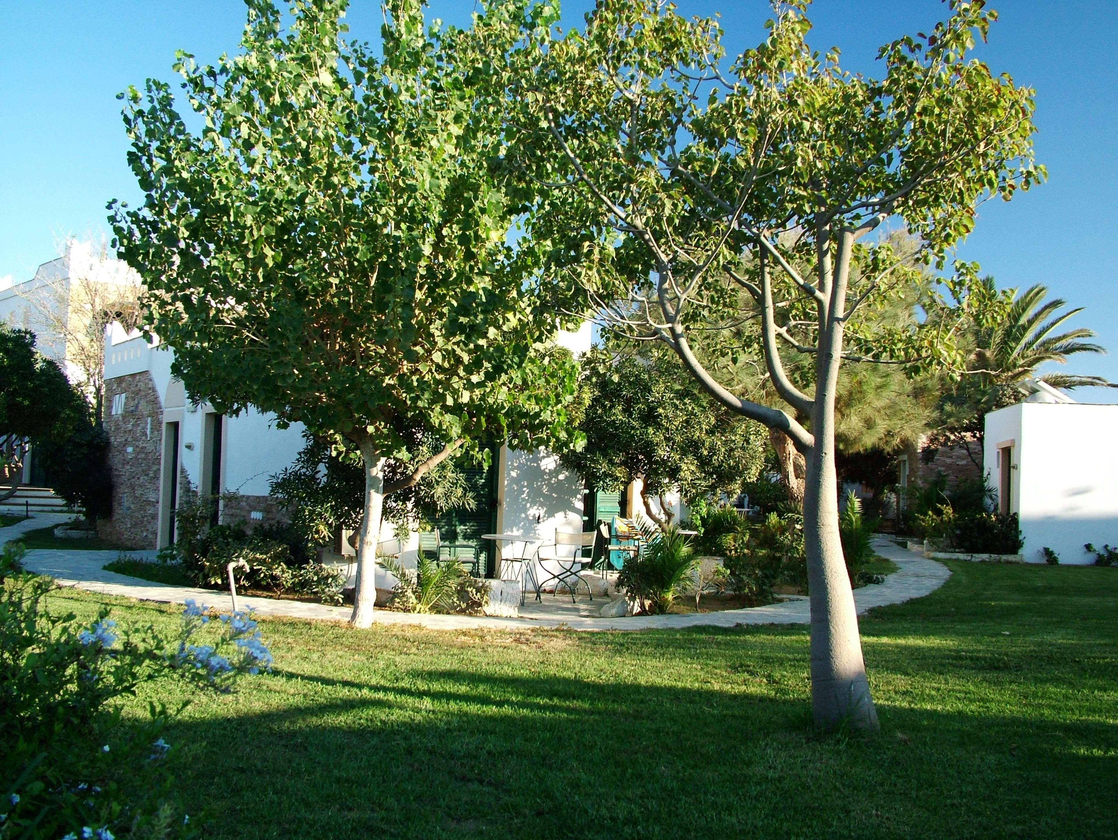 Hotel Naxos Naxos City