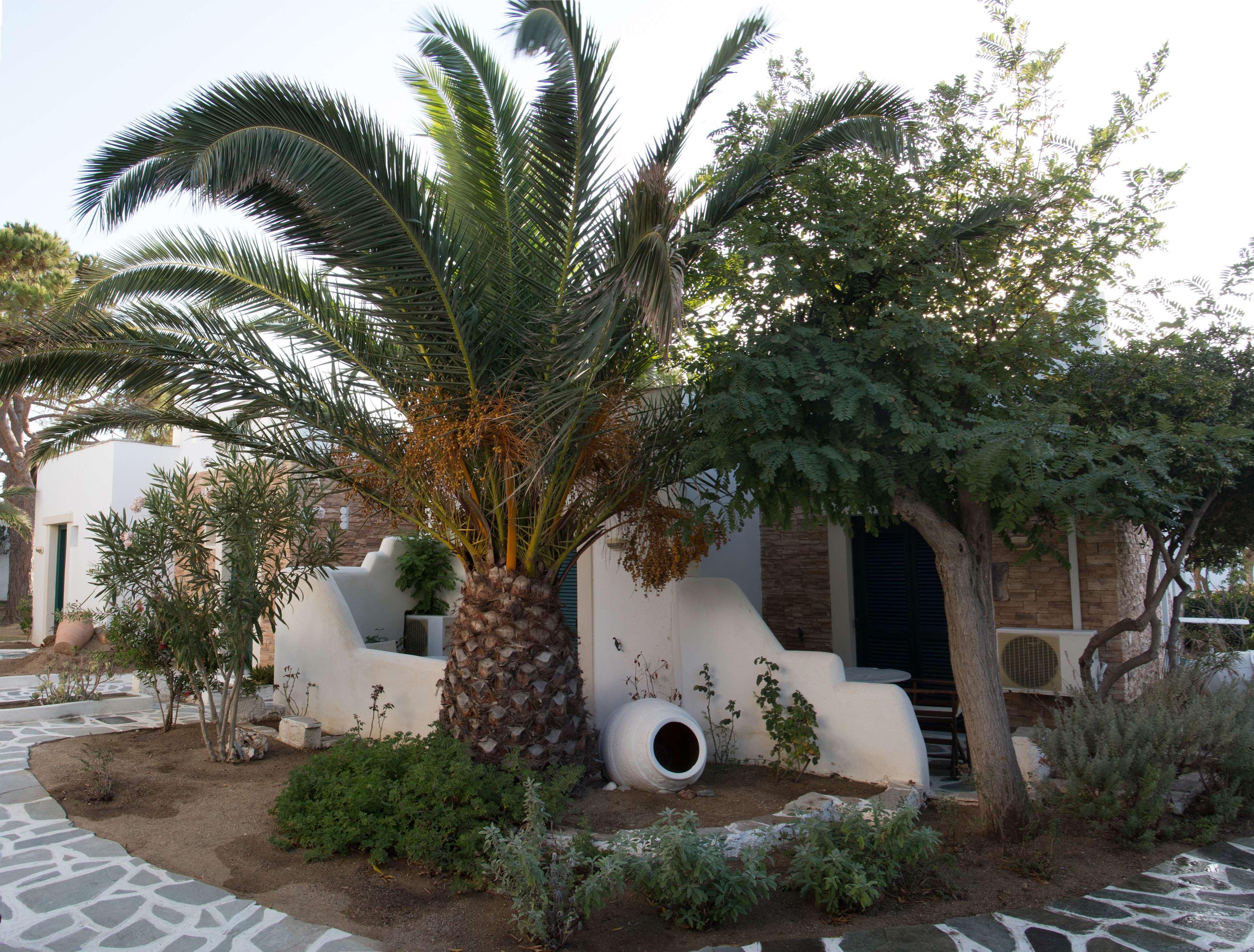 Hotel Naxos Naxos City