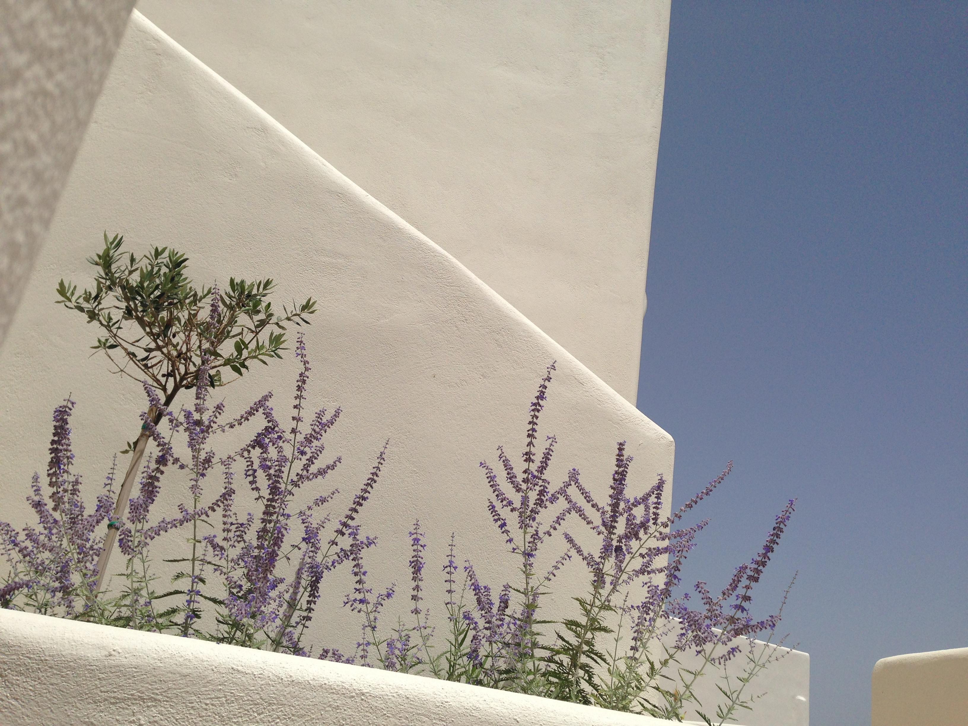 Hotel Archipelagos Parikia (Paros)