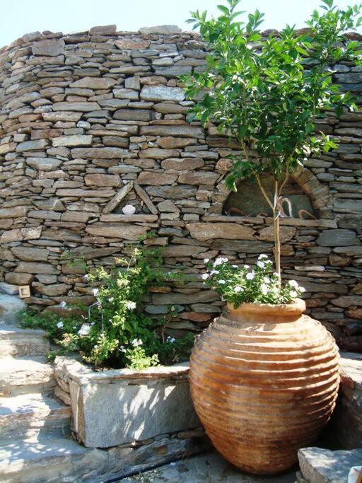 Owl's Nest/the Blue Otzias