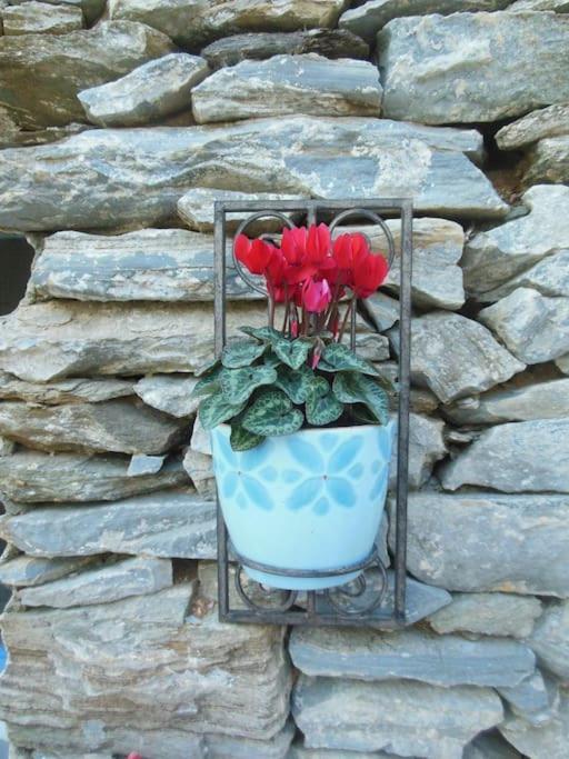 Owl's Nest/the Blue *