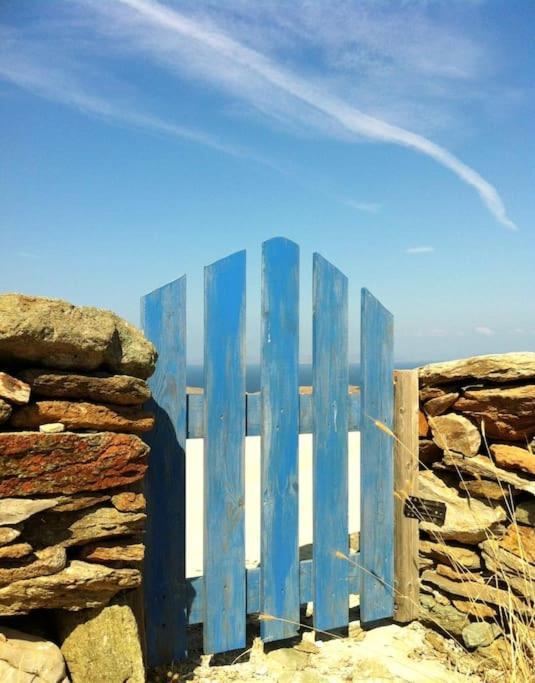Owl's Nest/the Blue *