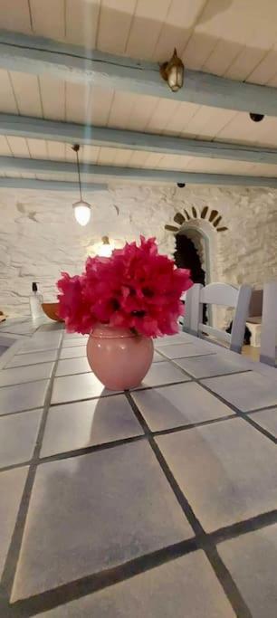 Holiday home Owl's Nest/the Blue Otzias