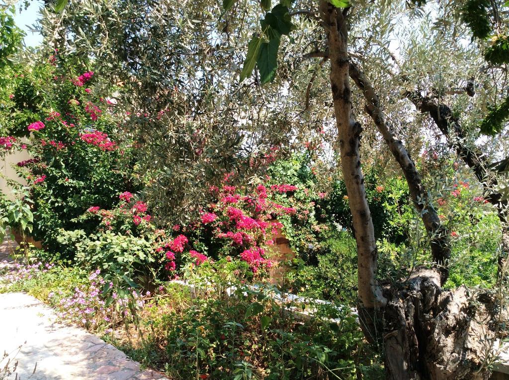 Aparthotel Angelica Epidaurus