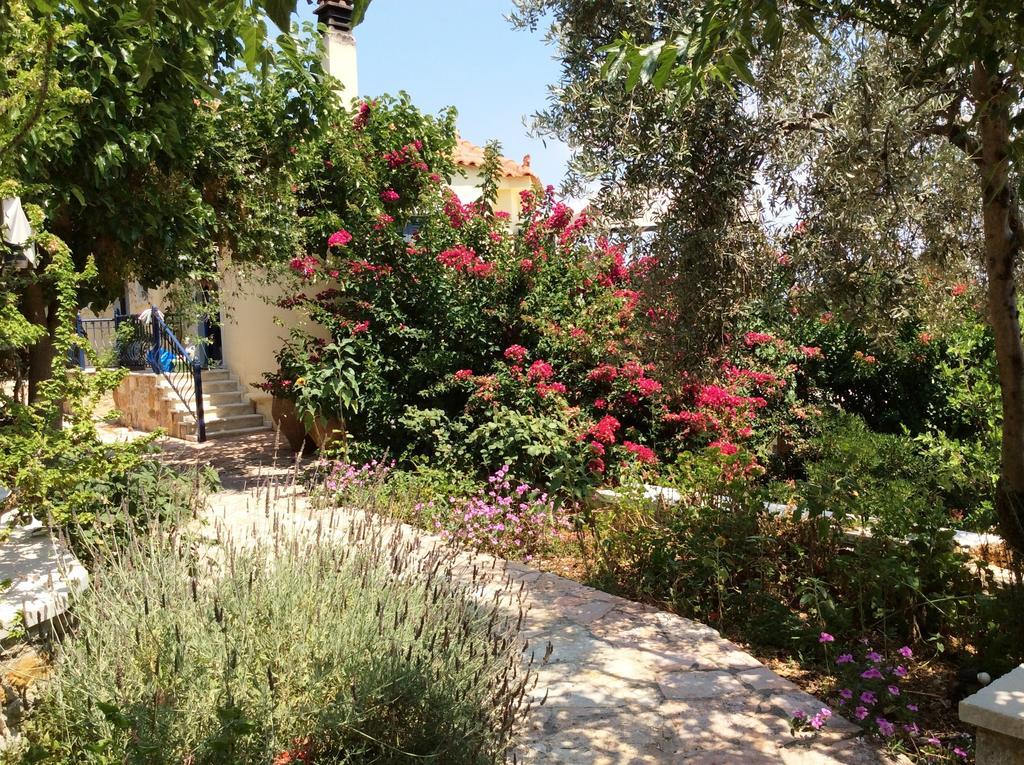 Angelica 3* Epidaurus
