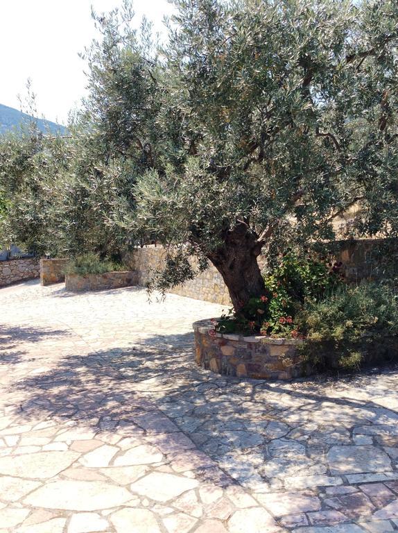 Angelica Aparthotel Epidaurus