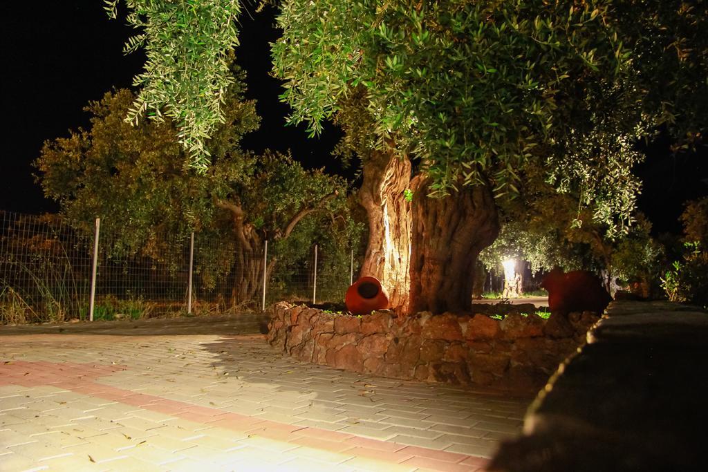 Elianthos