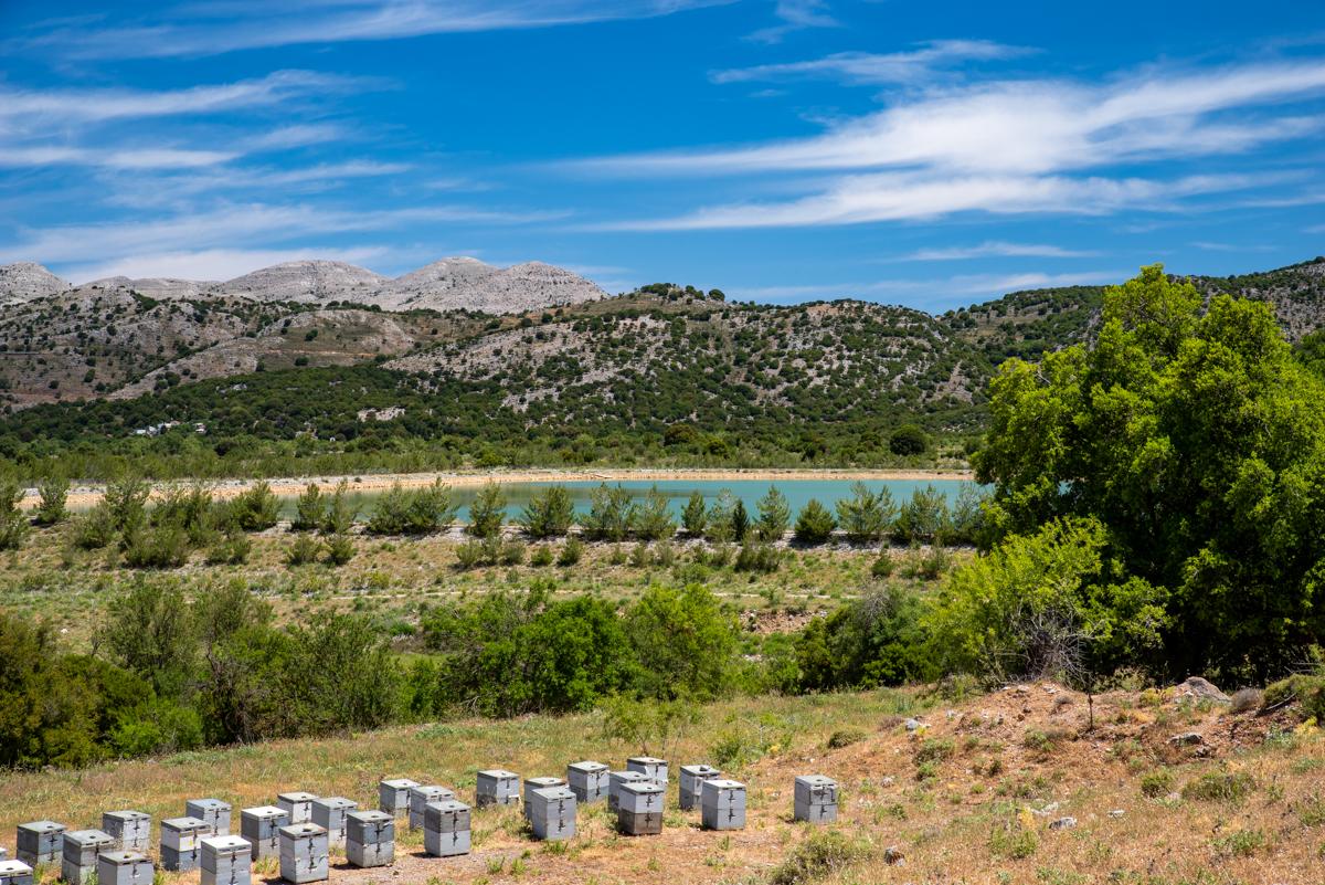 Vilaeti * Agios Konstantinos (Crete)