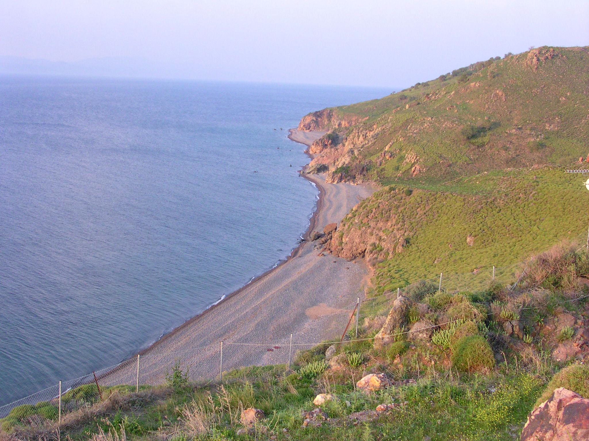 Panselinos
