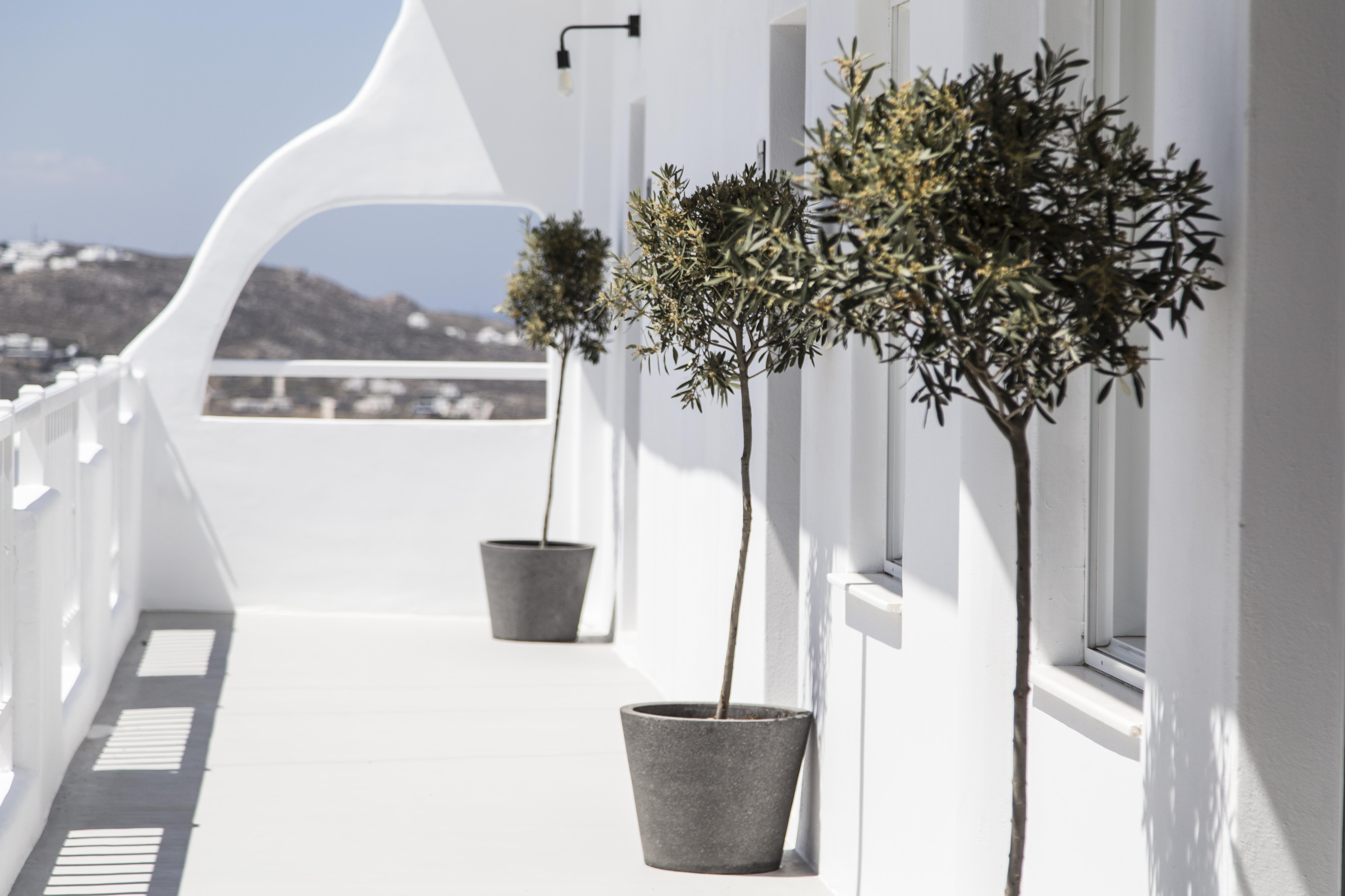 My Mykonos Hotel 4*