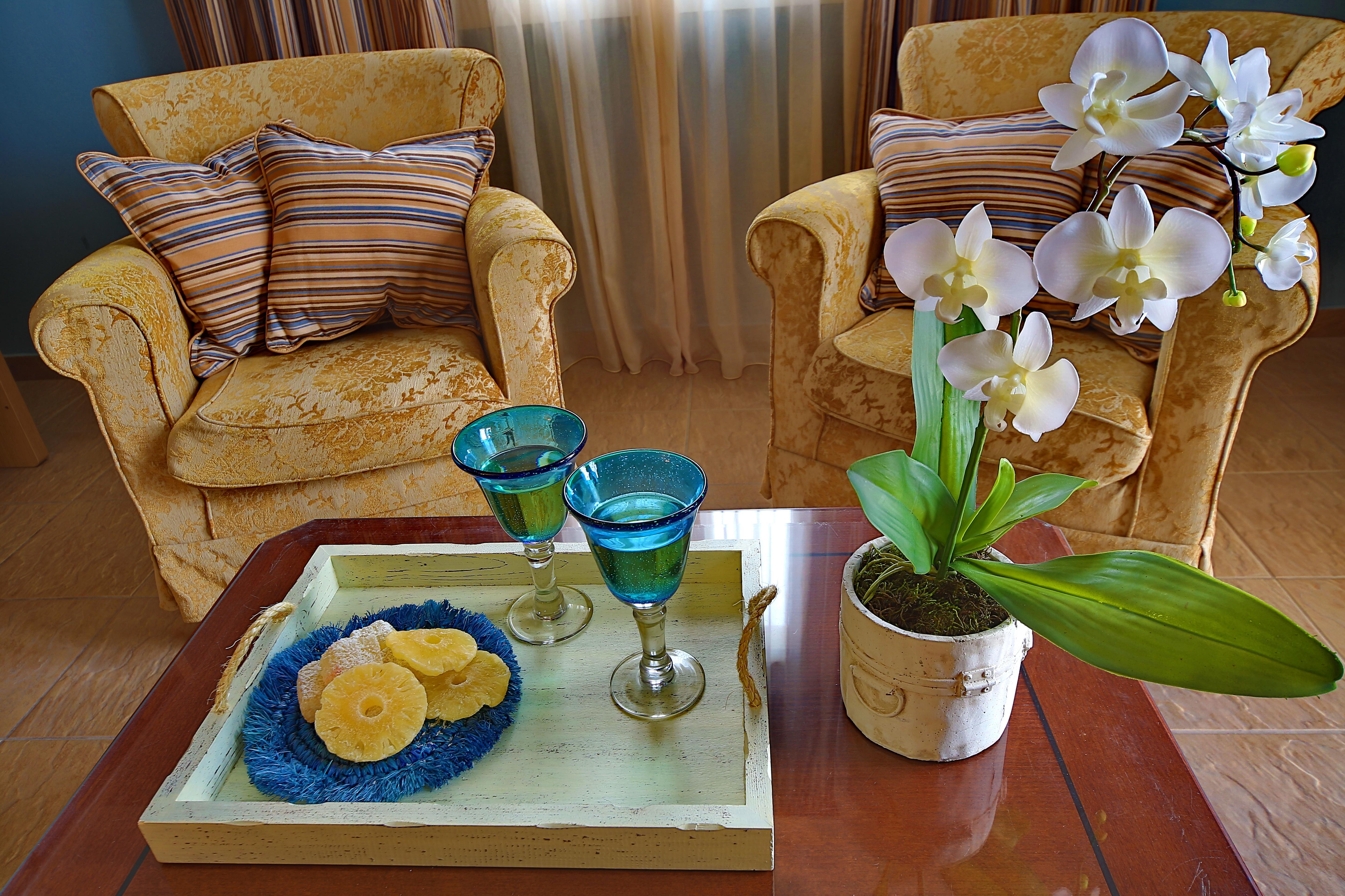 Hotel Dolphin Bay Seaside &