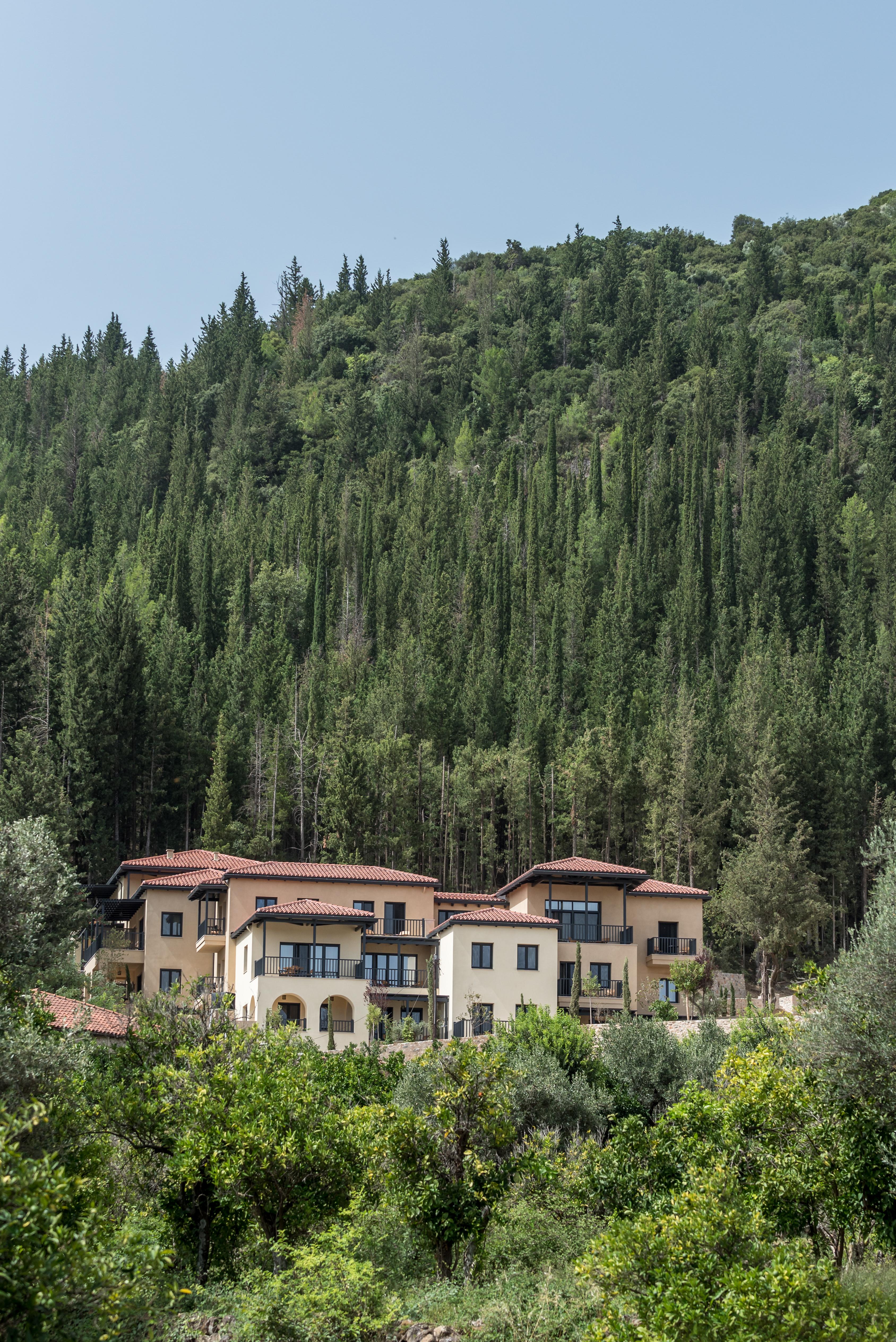 Euphoria Retreat - A Holistic Wellbeing Destination Mystras