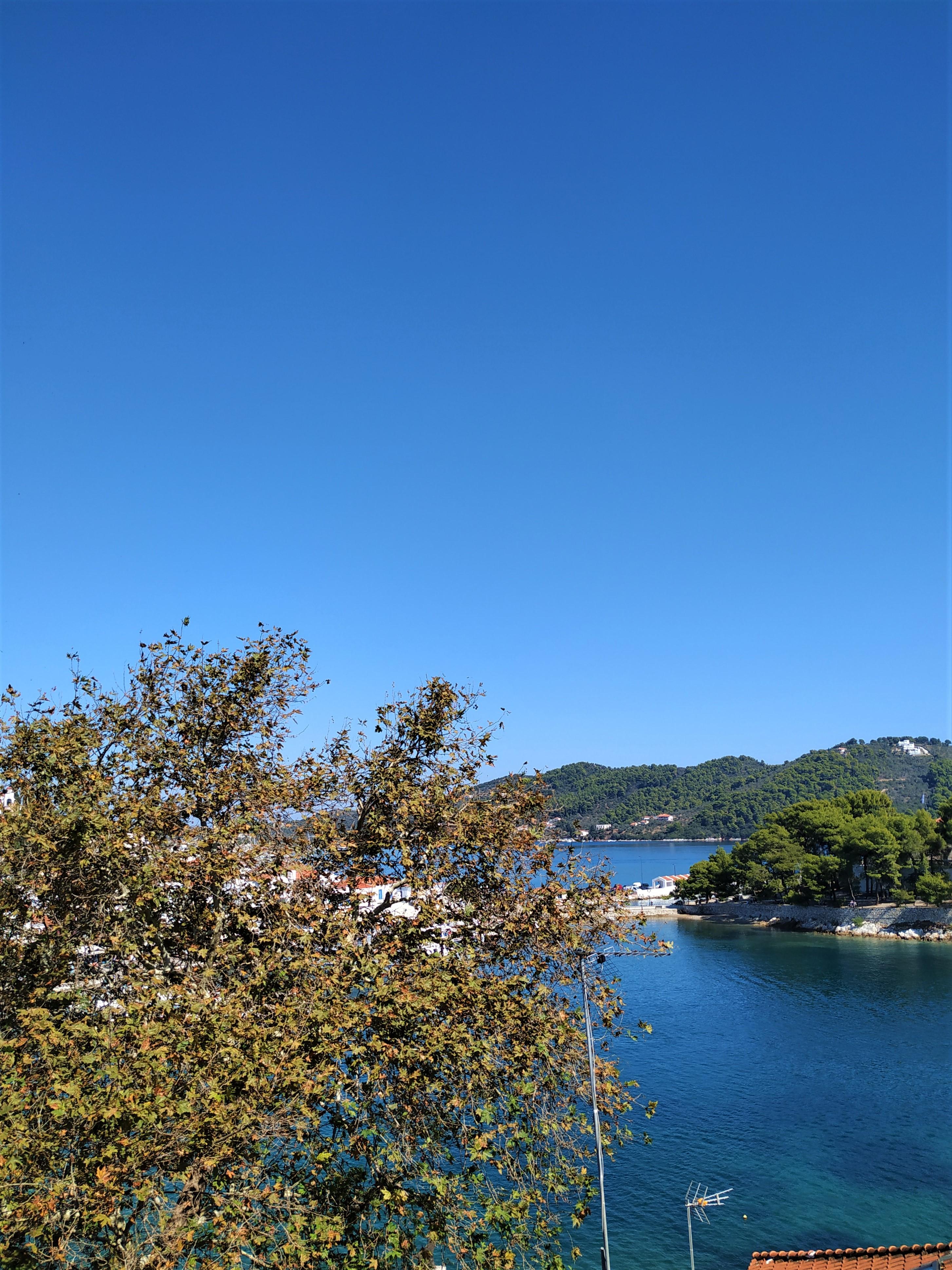 Guest house Argo