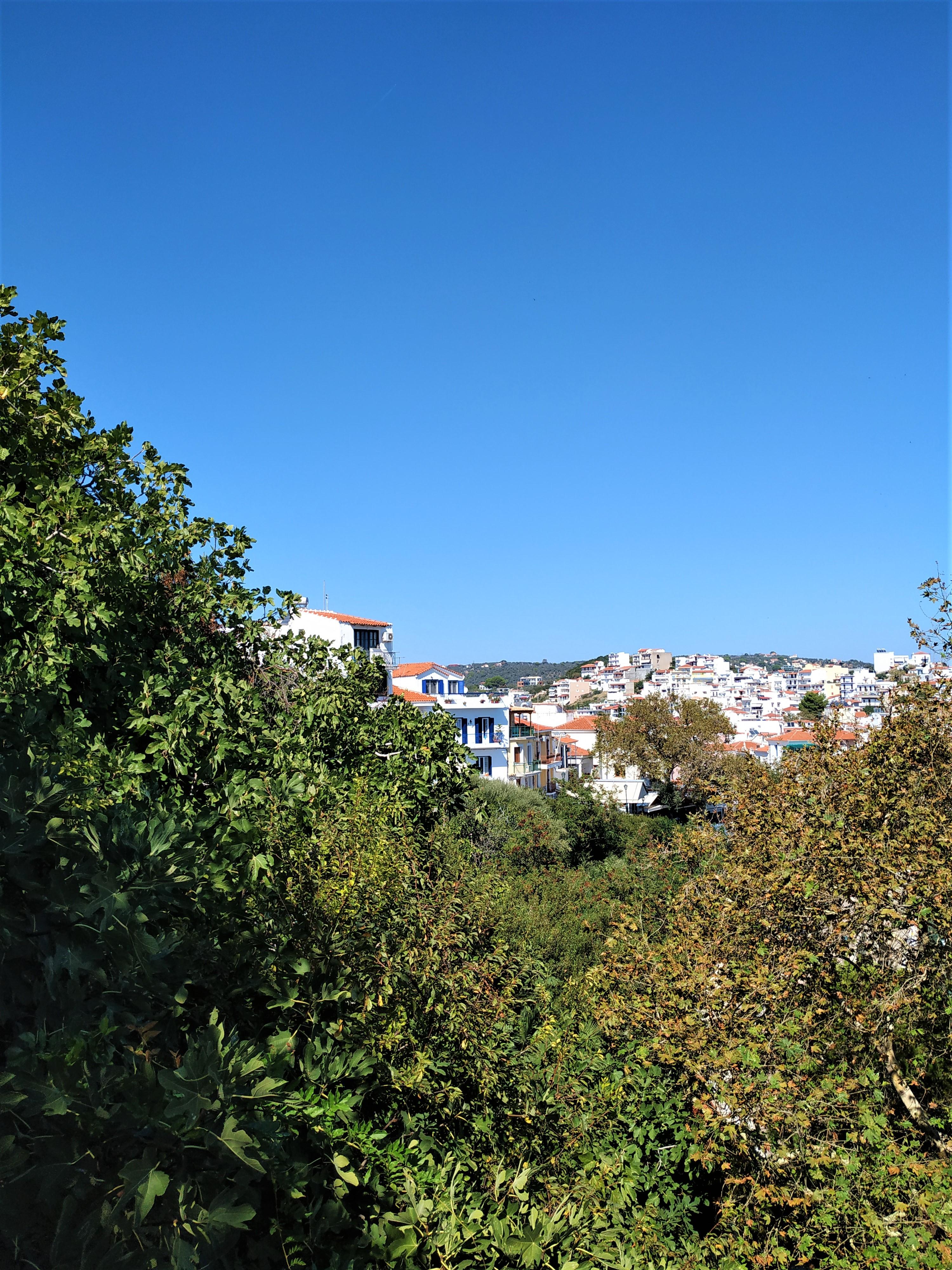Argo Skiathos Town