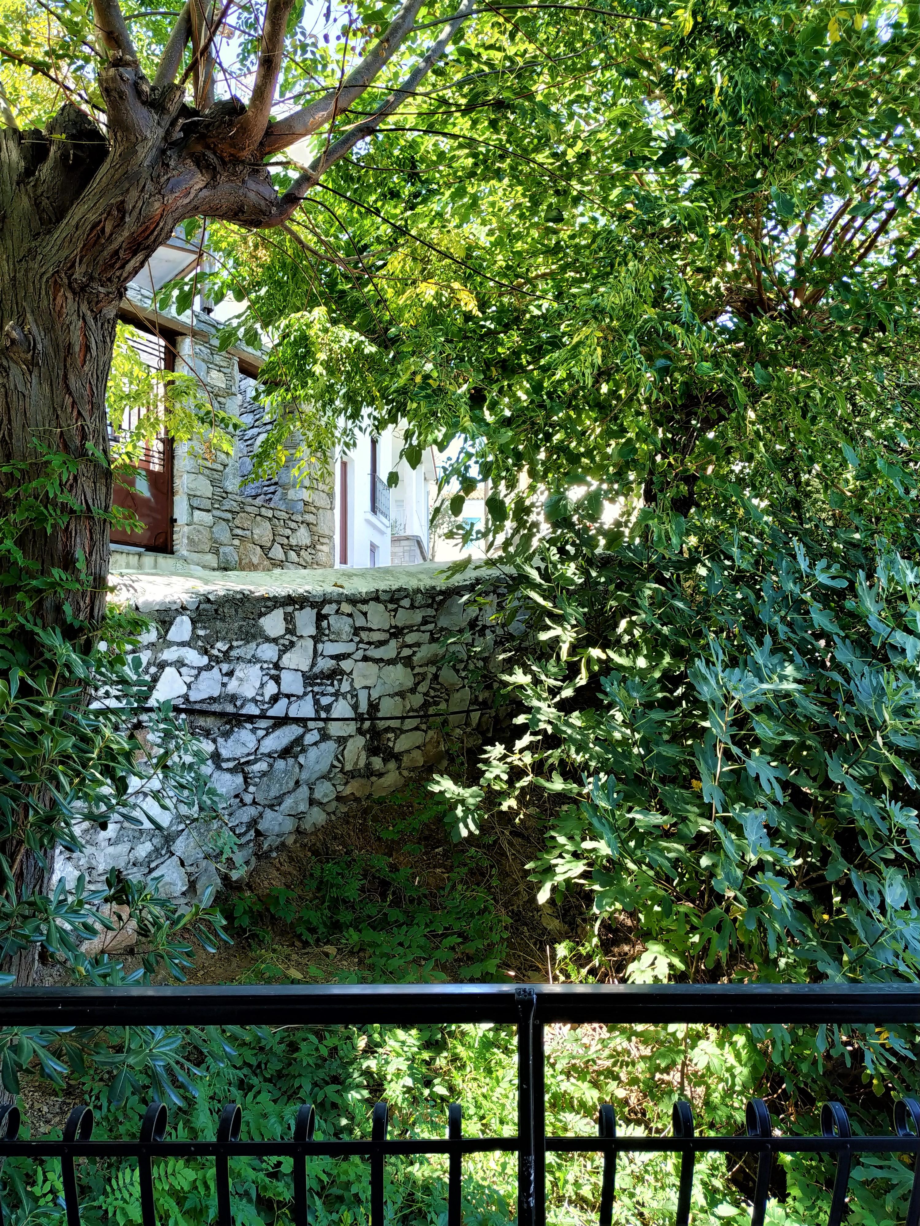 Guest house Argo 2*