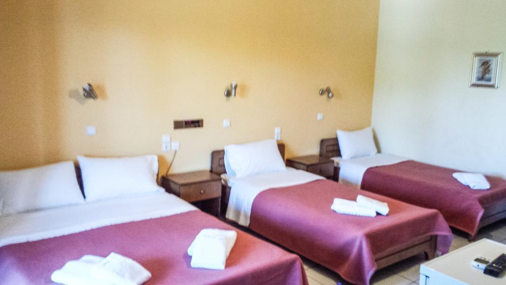 Guest house Pineas 3*