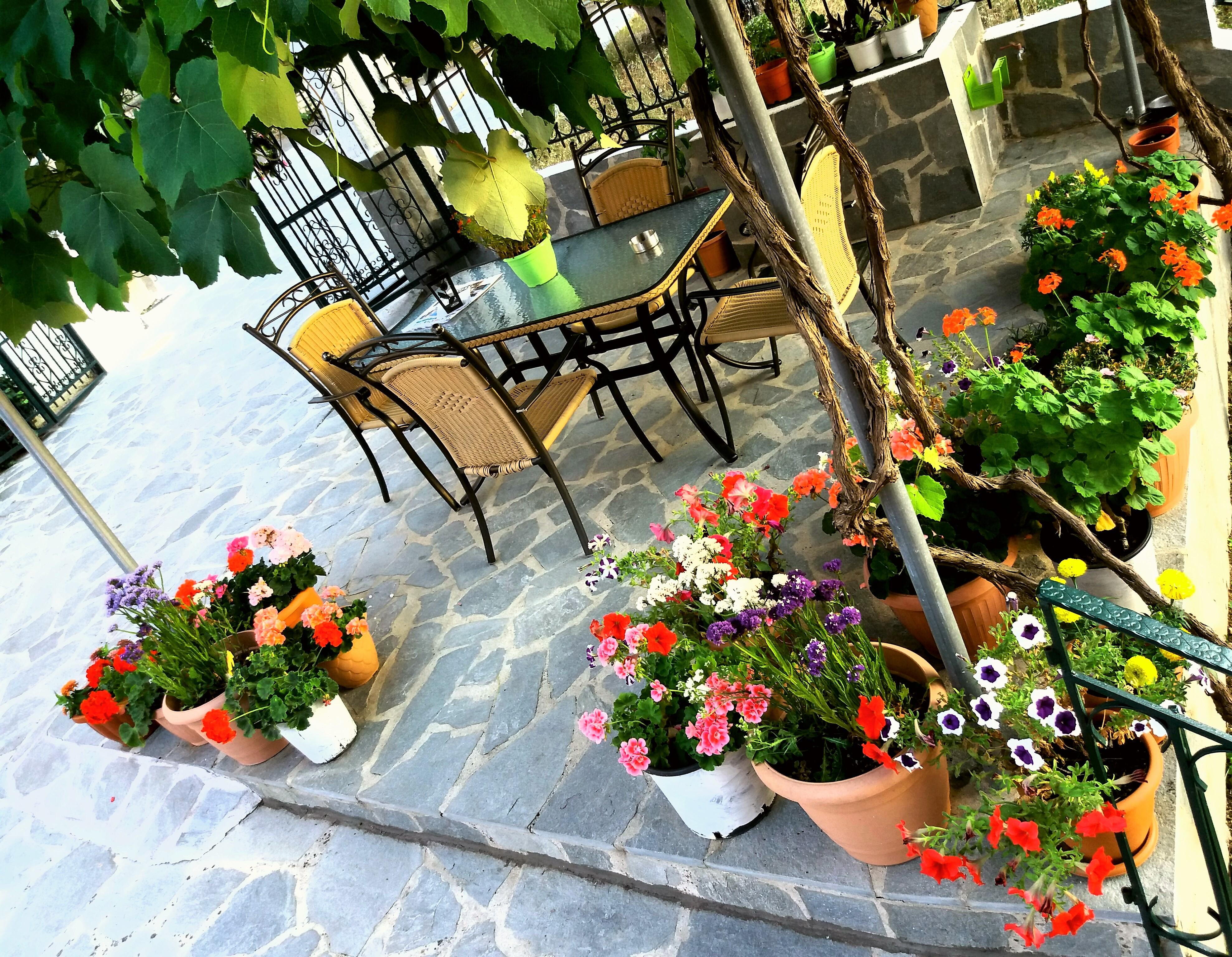 Apartment Ziogas Luxury