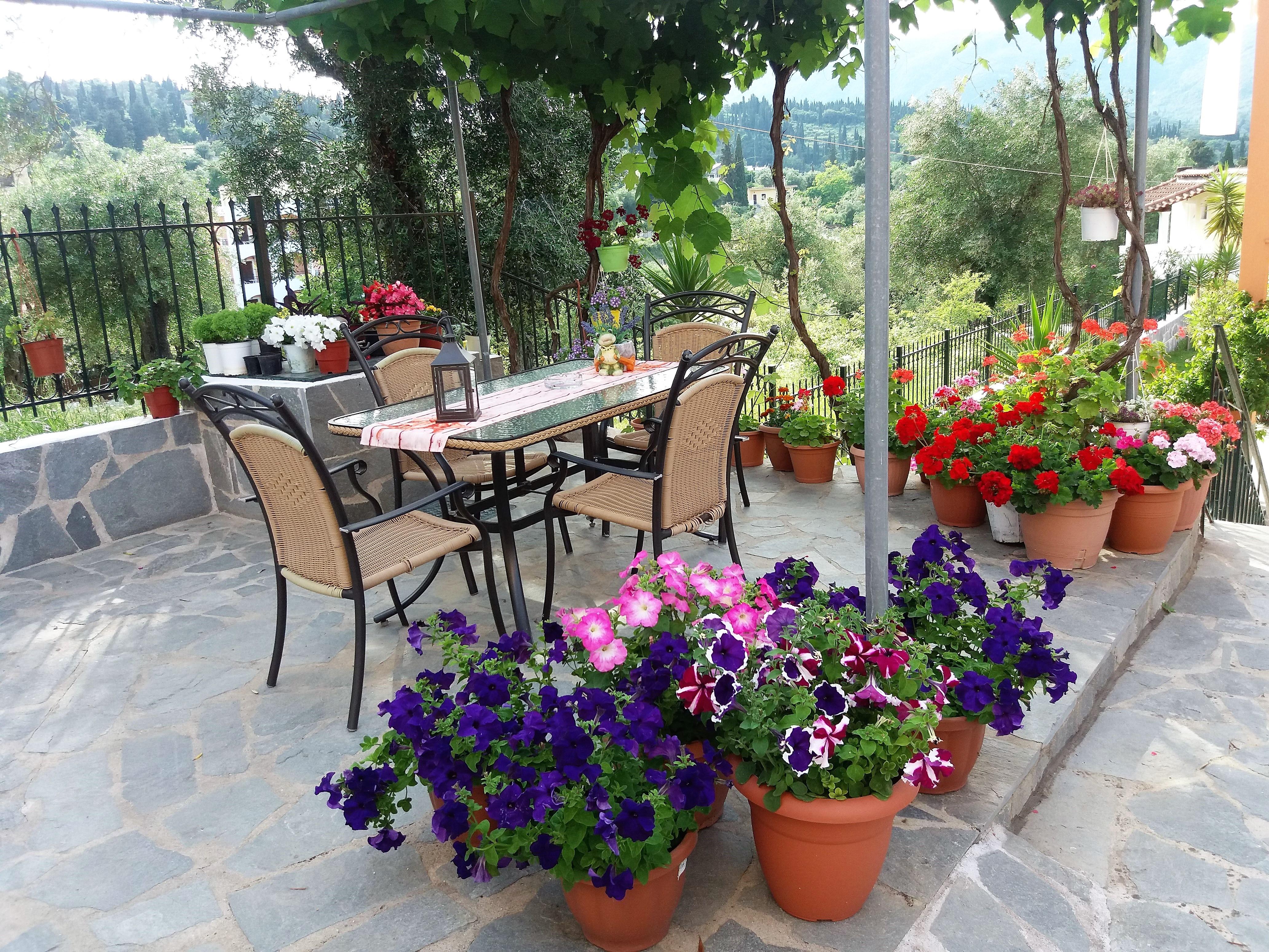 Apartment Ziogas Luxury *