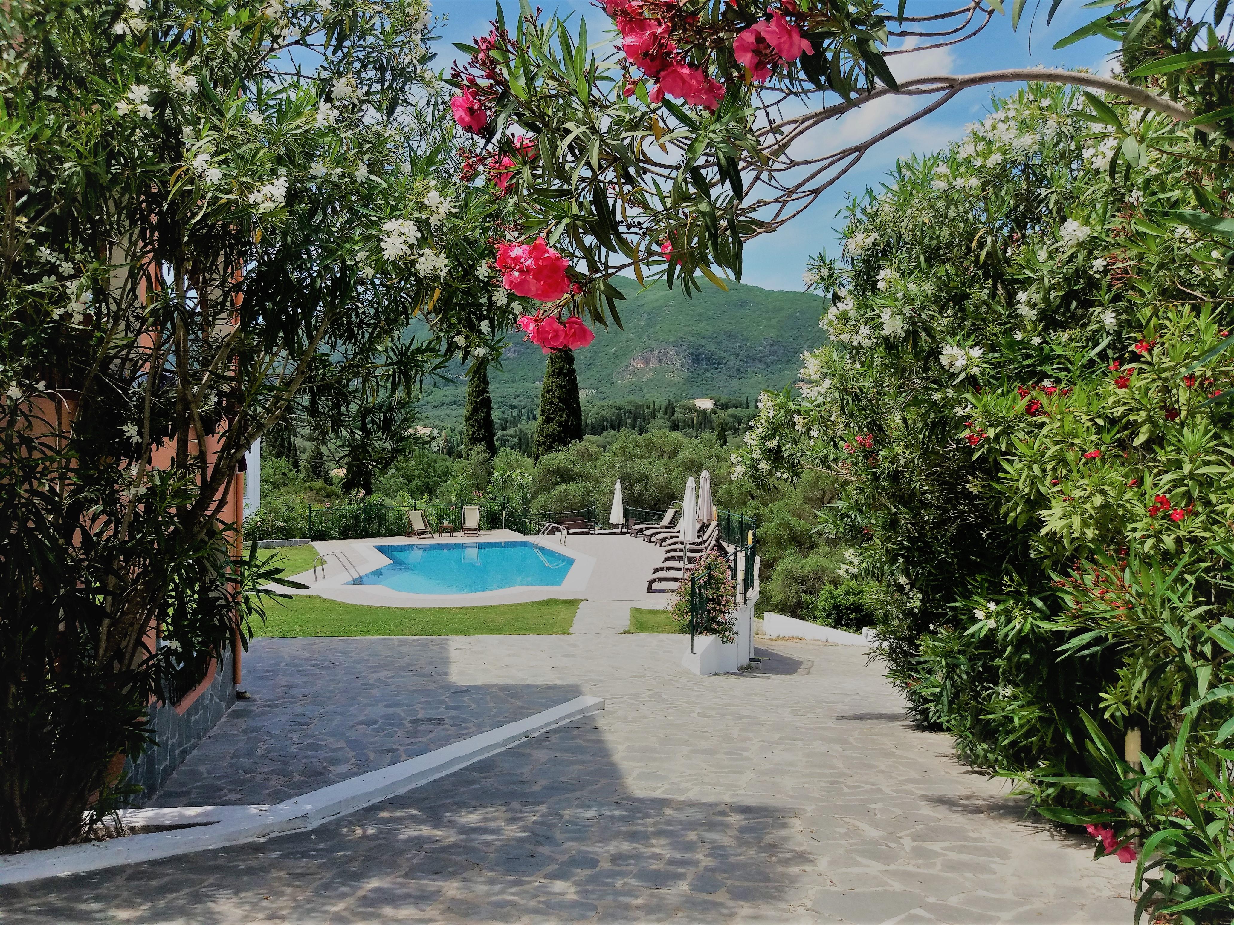 Ziogas Luxury * Dassia (Corfu)
