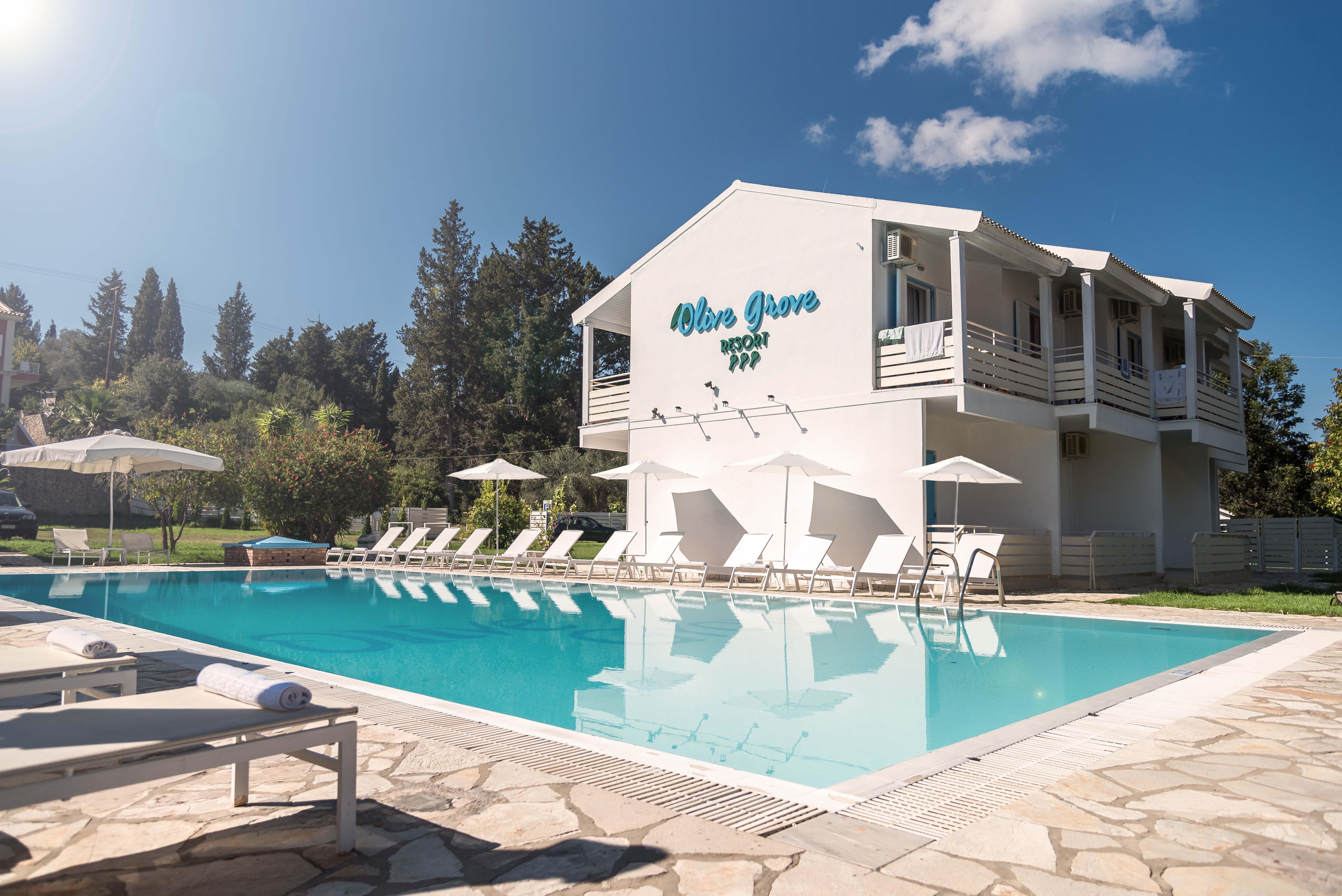 Olive Grove Kavos