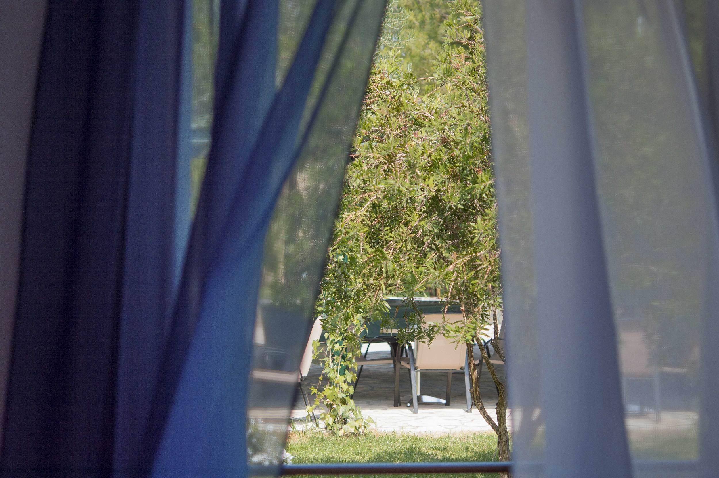 Olive Grove * Kavos